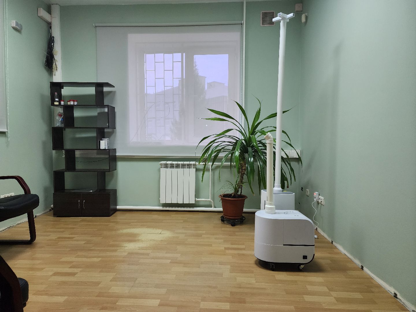 раменское, экономика, косметическая компания николь, фитокабинет, здоровье,