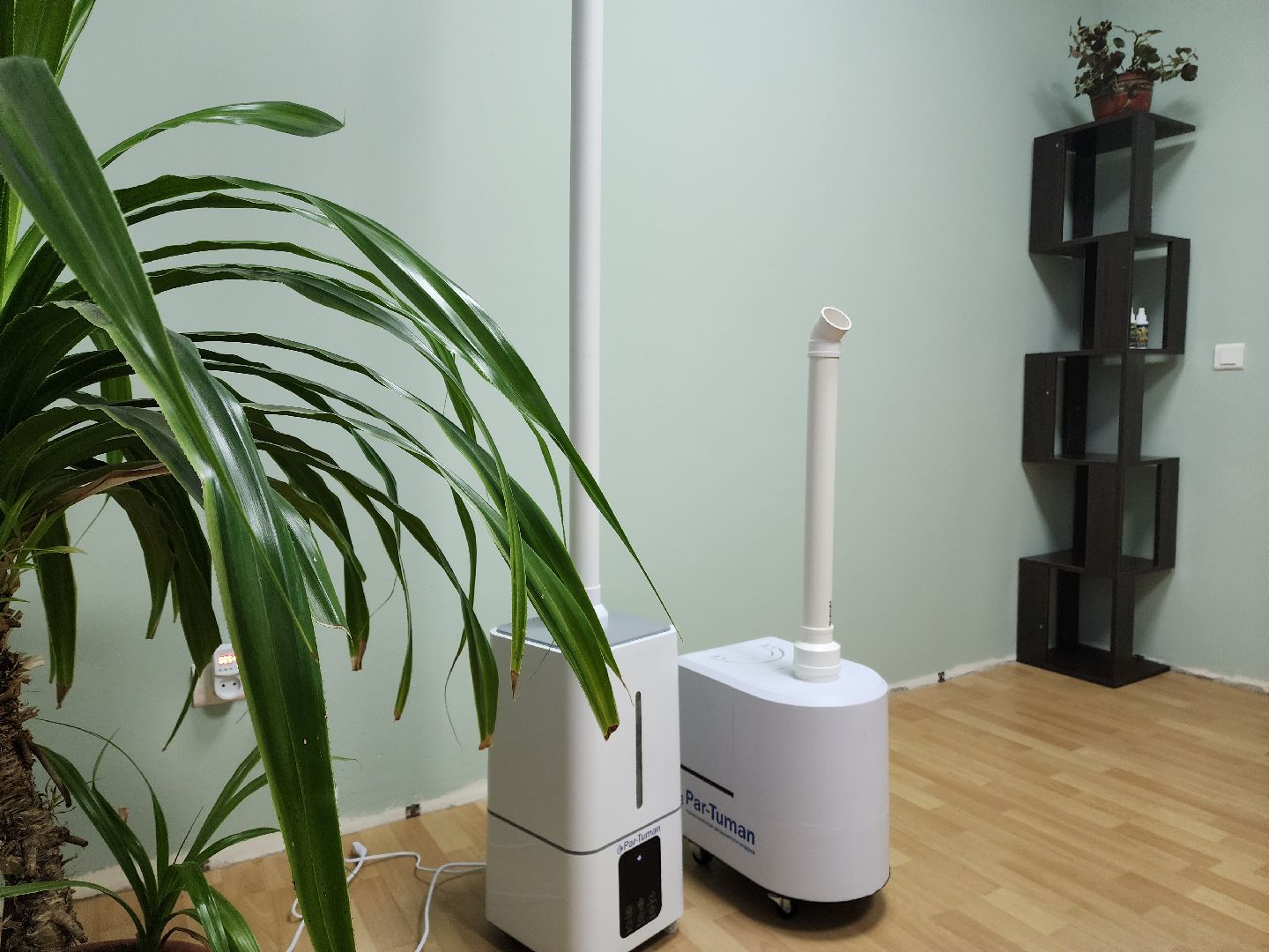 раменское, экономика, косметическая компания николь, фитокабинет, здоровье,