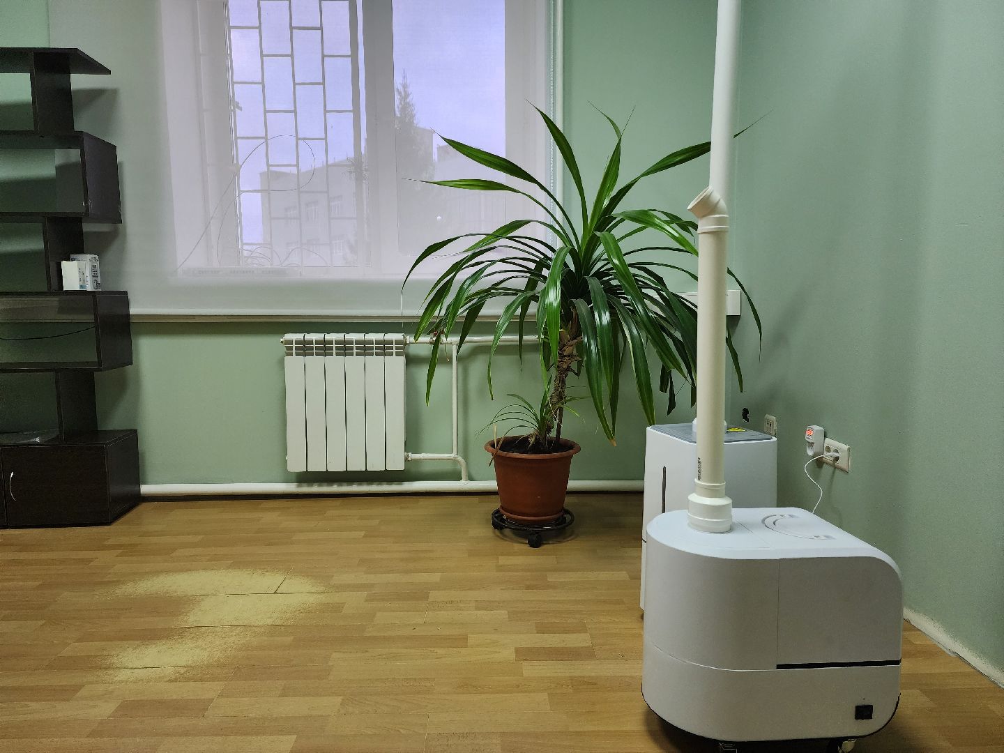 раменское, экономика, косметическая компания николь, фитокабинет, здоровье,