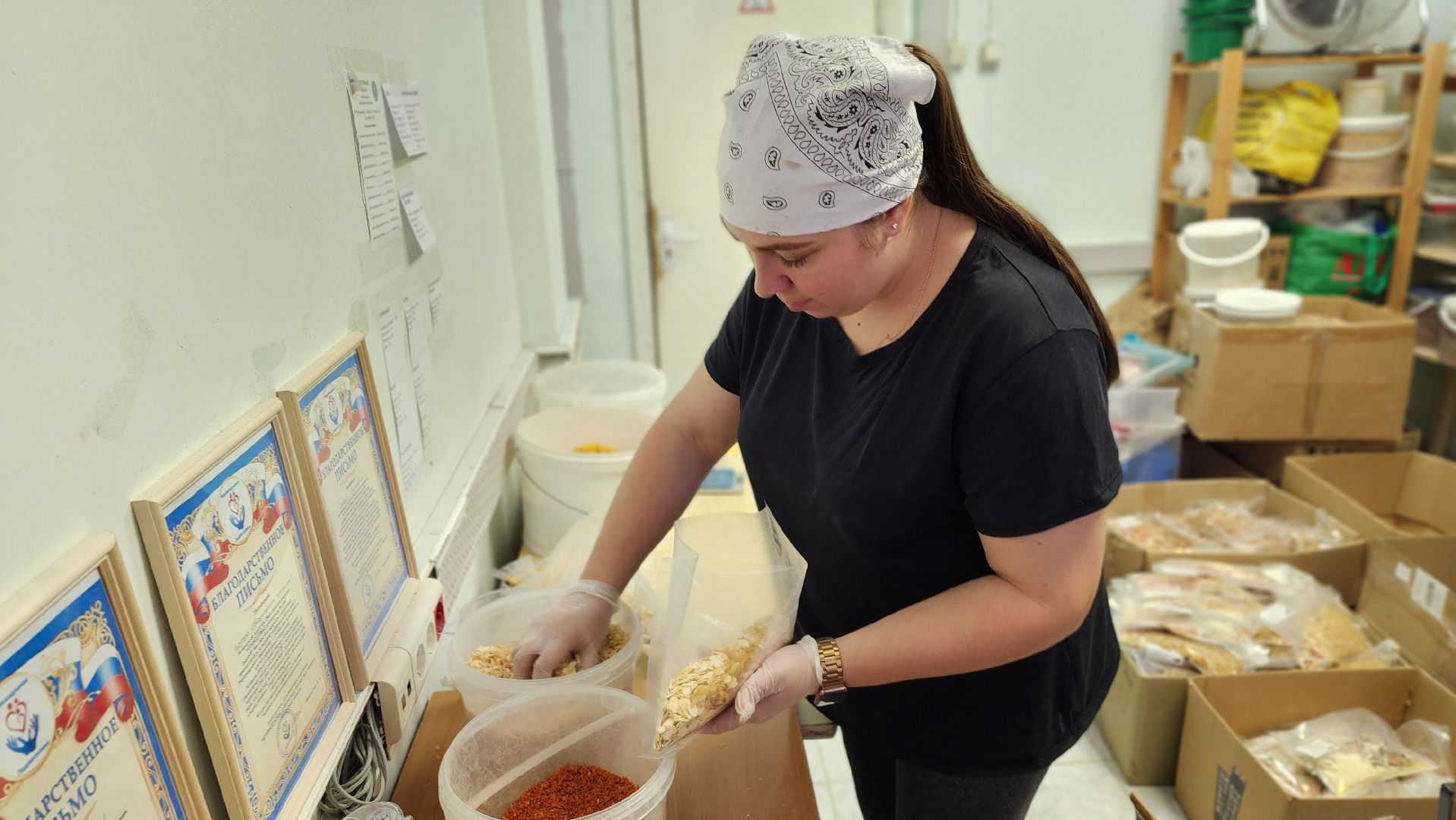 волонтры, помощь военнослужащим, СВО, Лосино-Петровский, спецоперация,