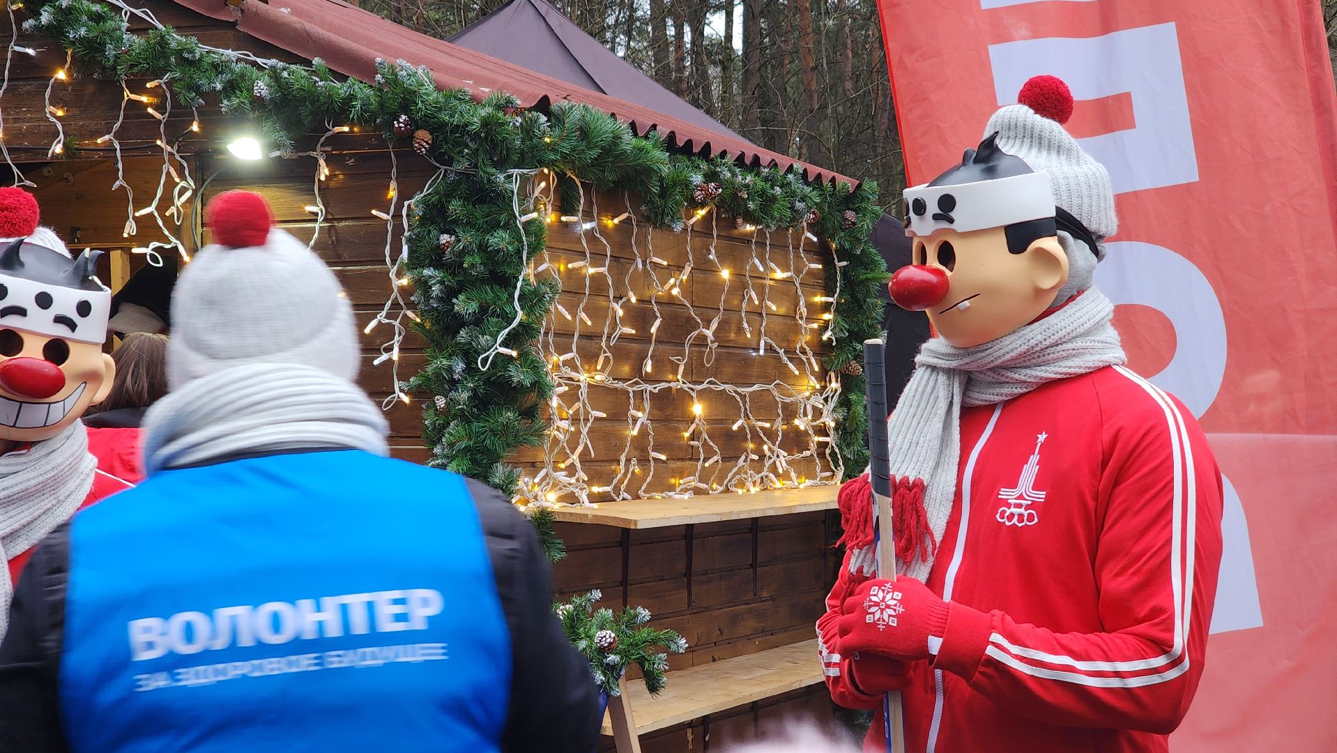 здоровое отечество, каток, Протвино,