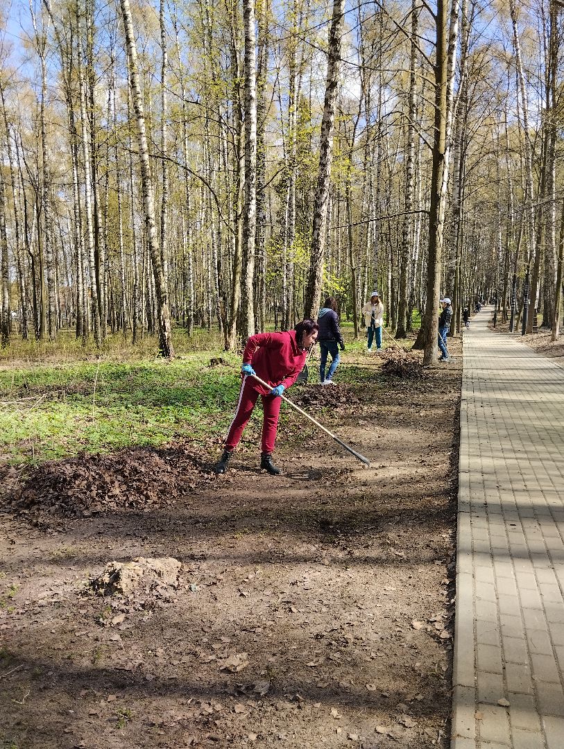 Всероссийский субботник, уборка территорий, благоустройство, администрация БГО, Богородский городской округ, Ногинск