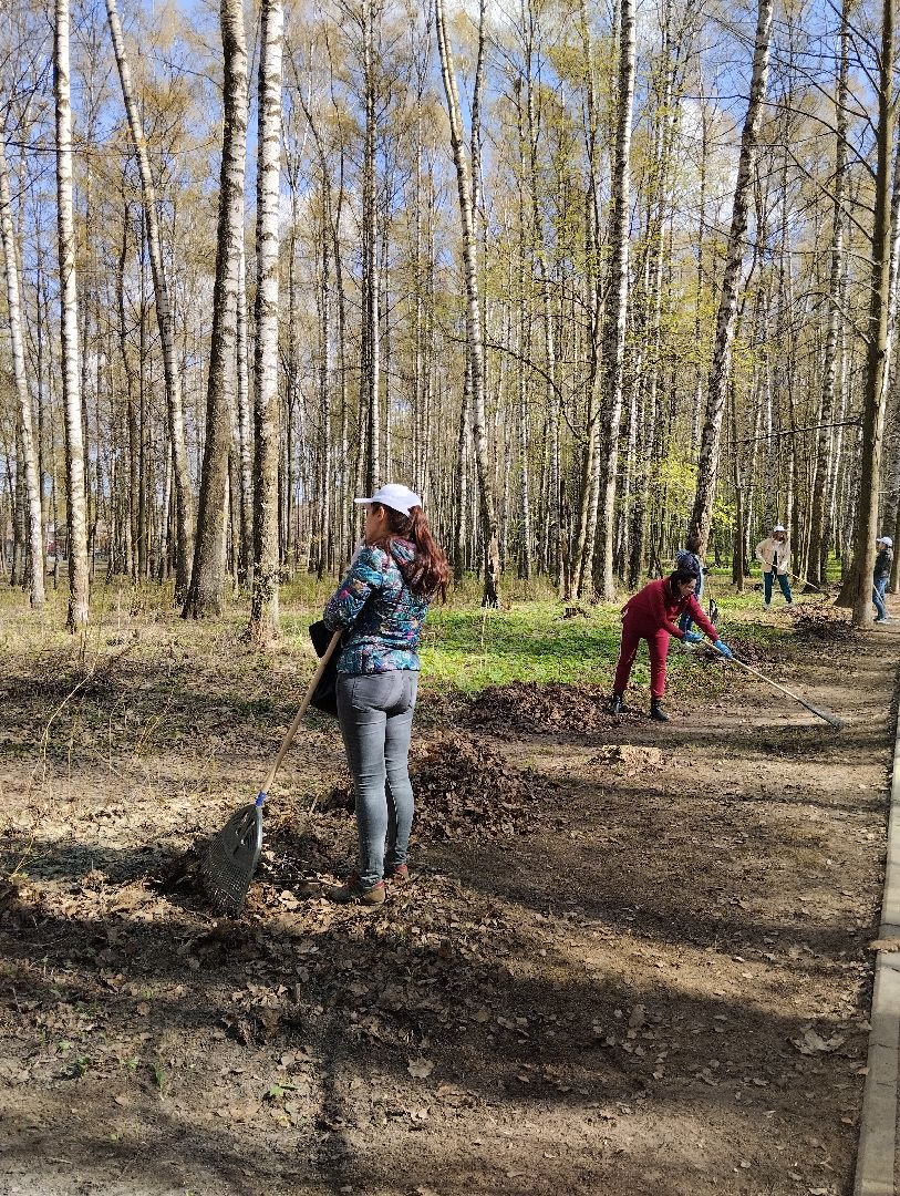 Всероссийский субботник, уборка территорий, благоустройство, администрация БГО, Богородский городской округ, Ногинск