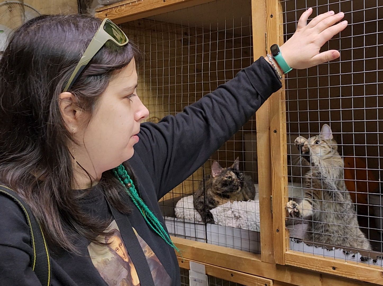 Дубна, Выставка, Благотворительная выставка, Помощь животным, Помощь приюту, вертикалки,