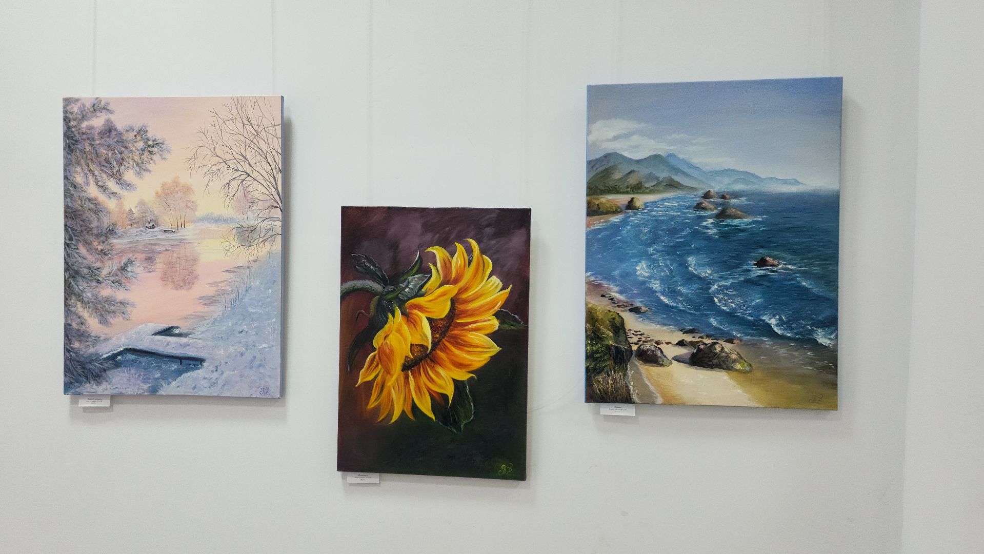 выставка картин, волоколамск, волоколамская библиотека, культура,