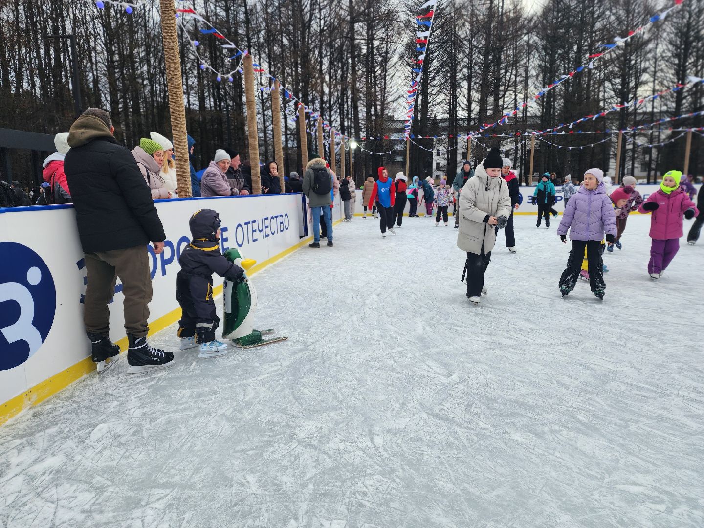 пущино, серпухов, каток,