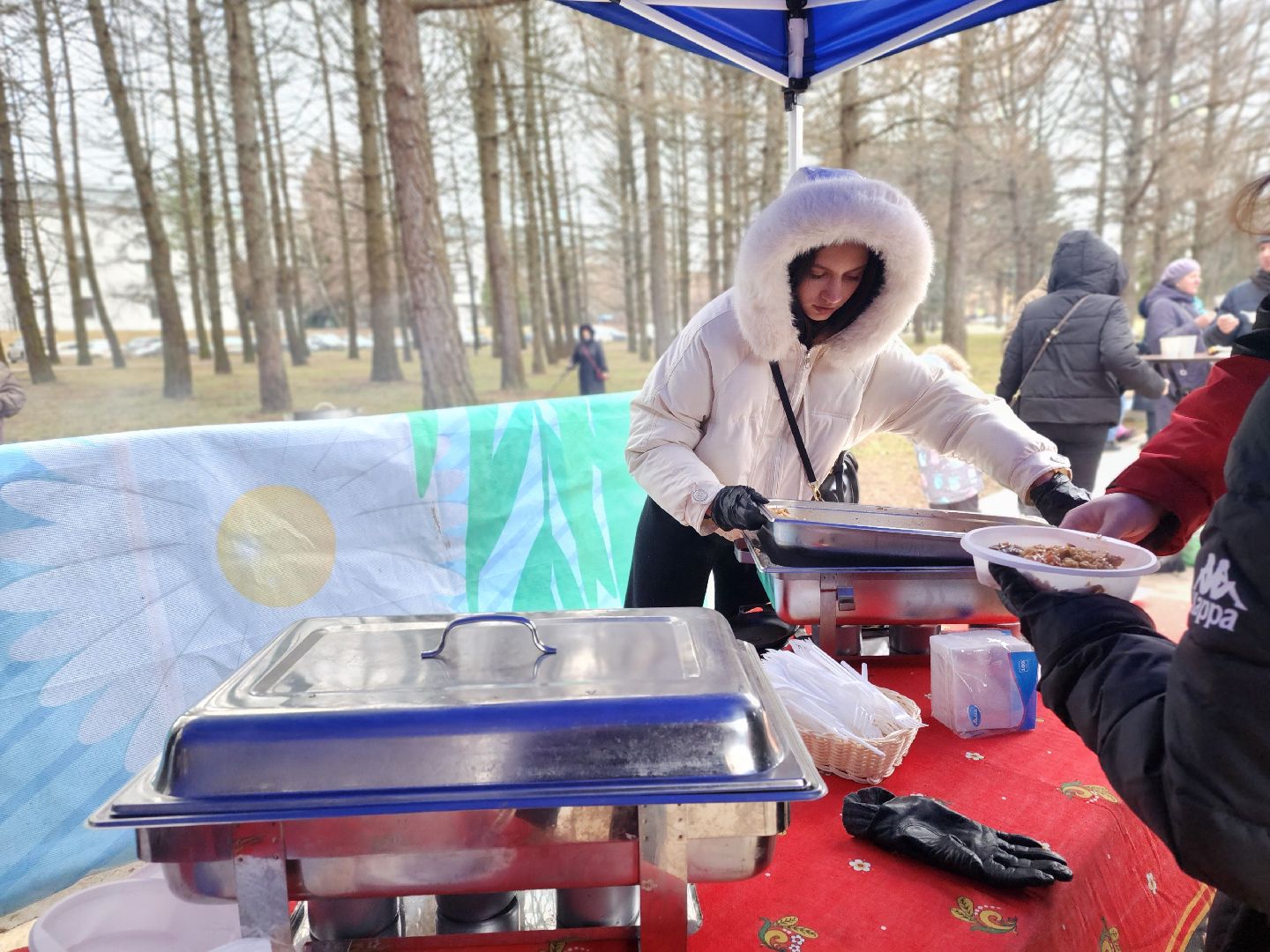 пущино, серпухов, каток,