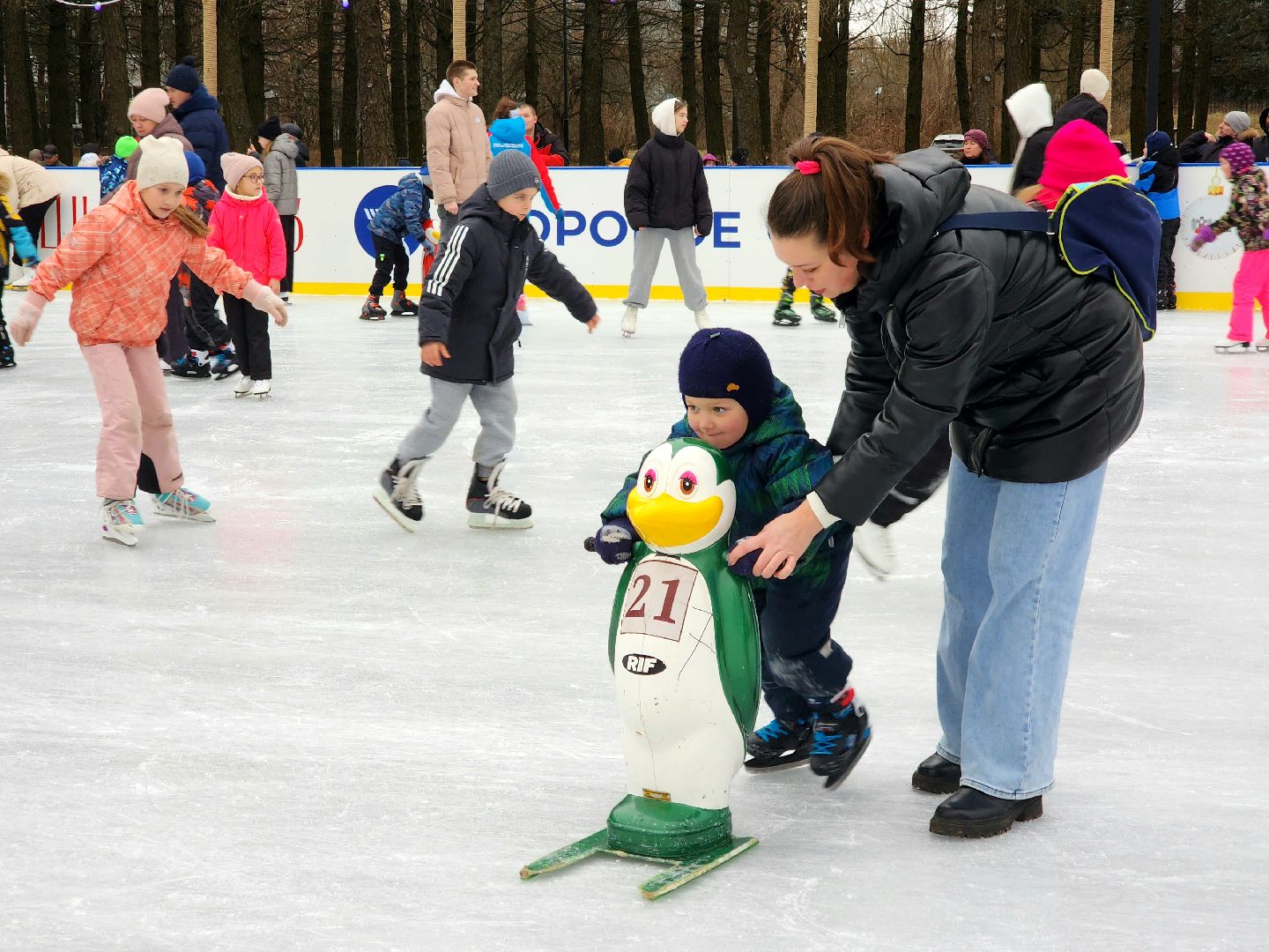 пущино, серпухов, каток,