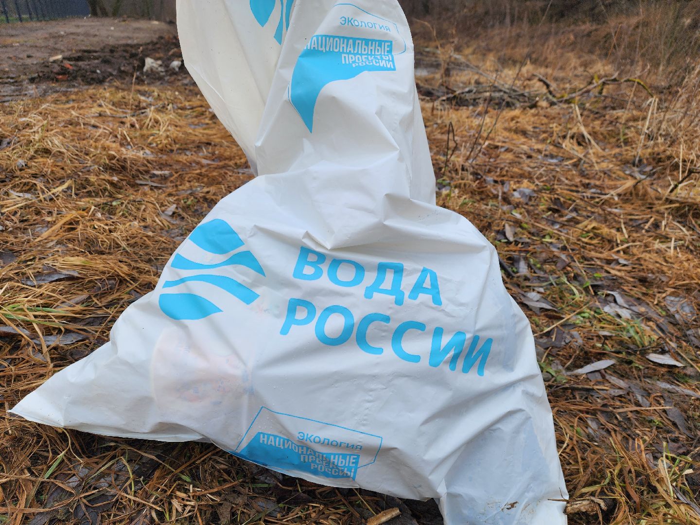 луховицы, субботник, вертикалки,