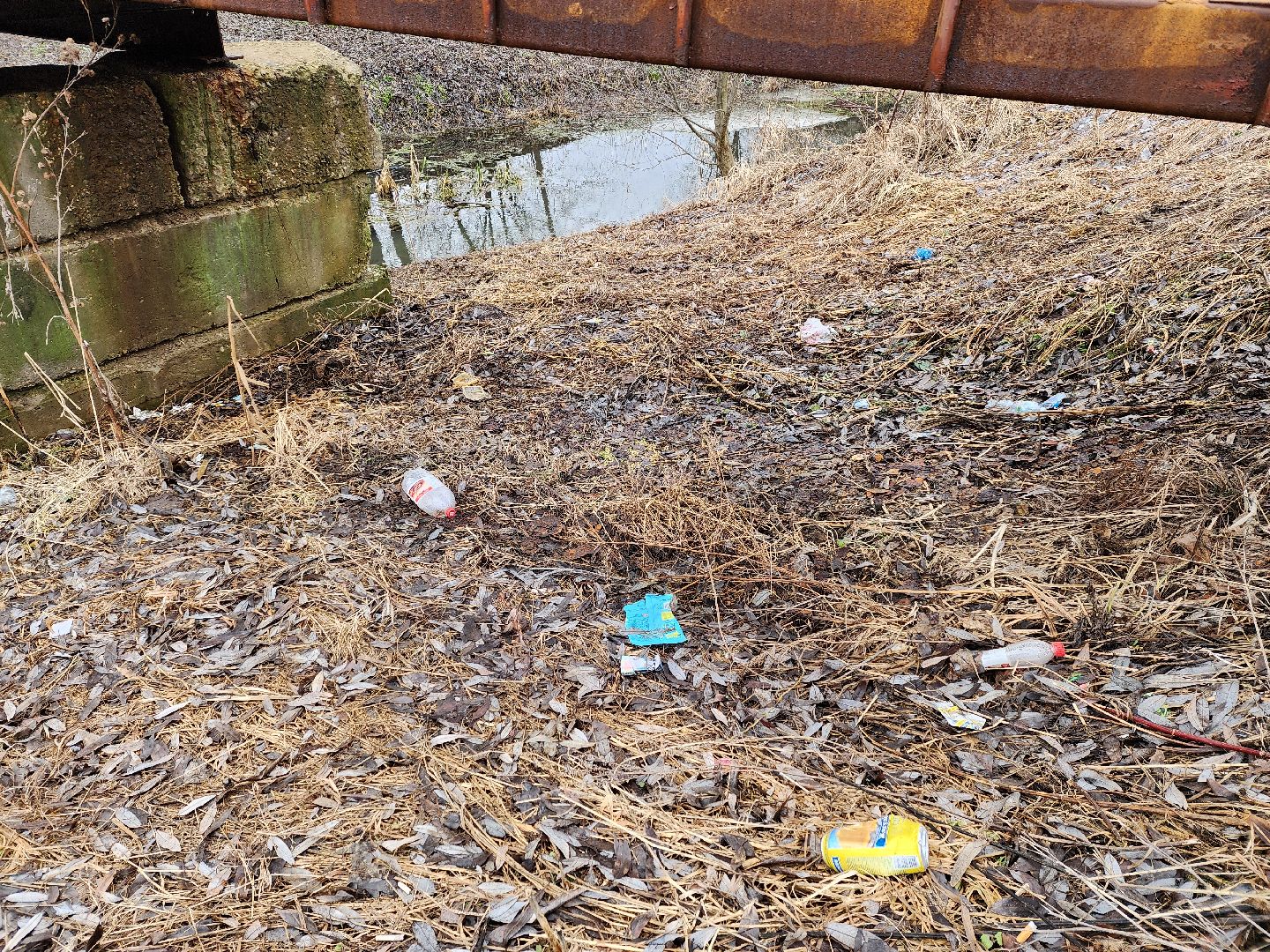 луховицы, субботник, вертикалки,