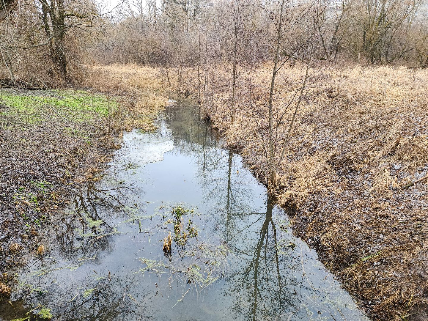 луховицы, субботник, вертикалки,