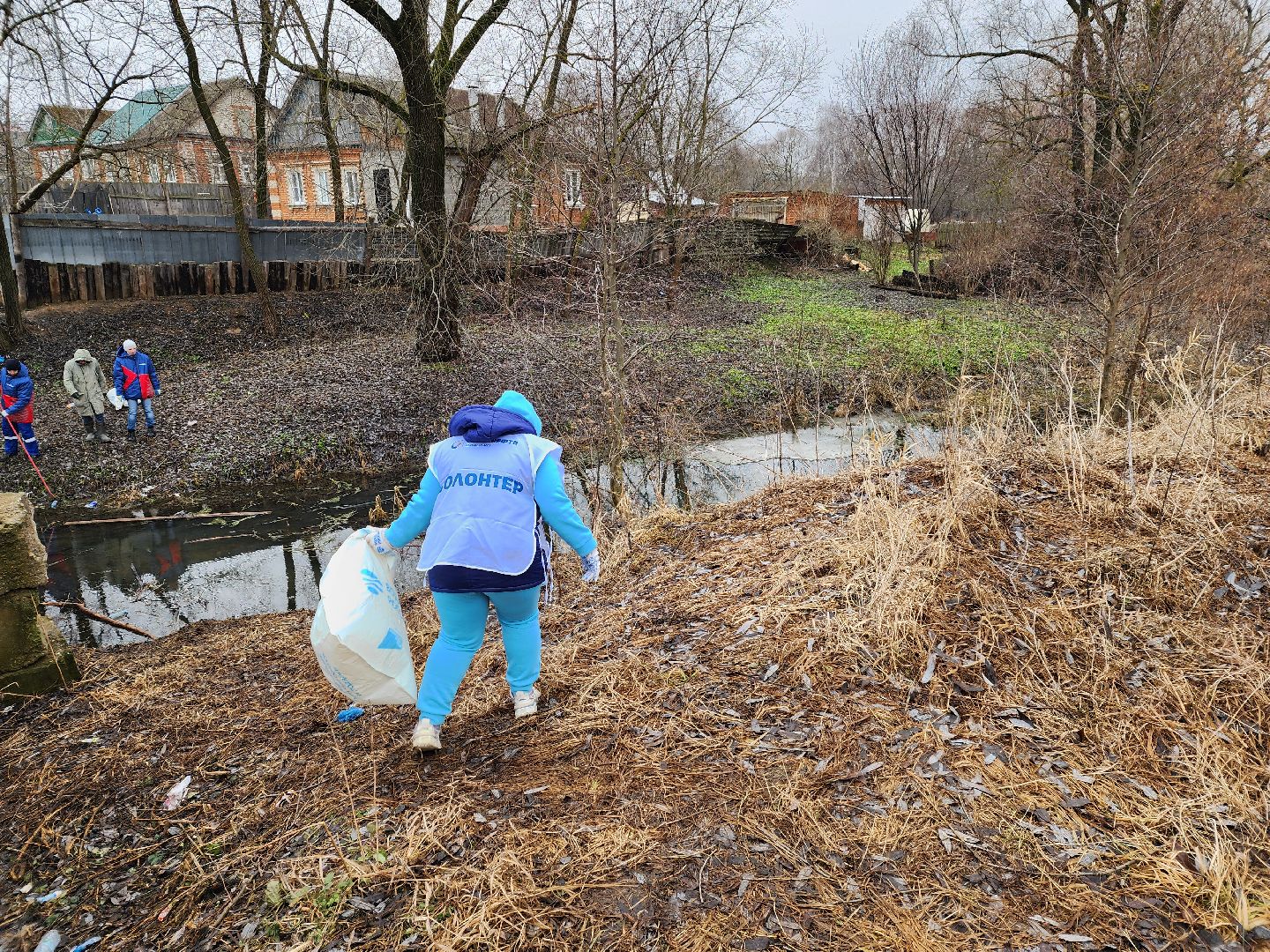 луховицы, субботник, вертикалки,