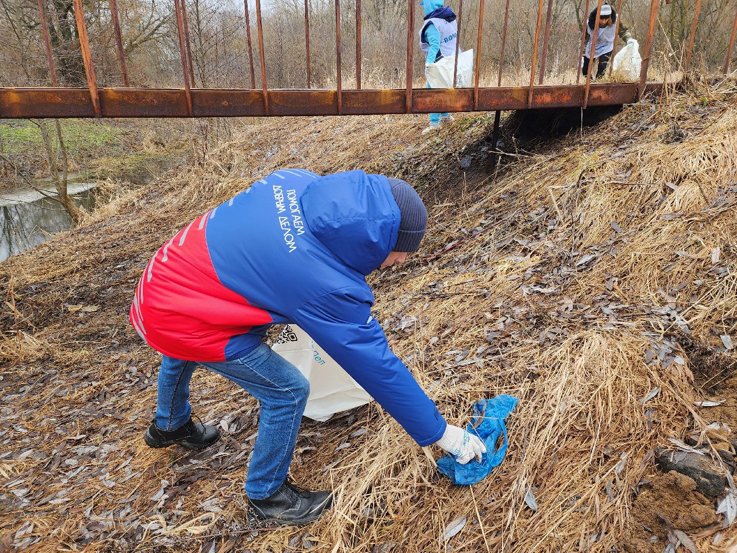 луховицы, субботник, вертикалки,