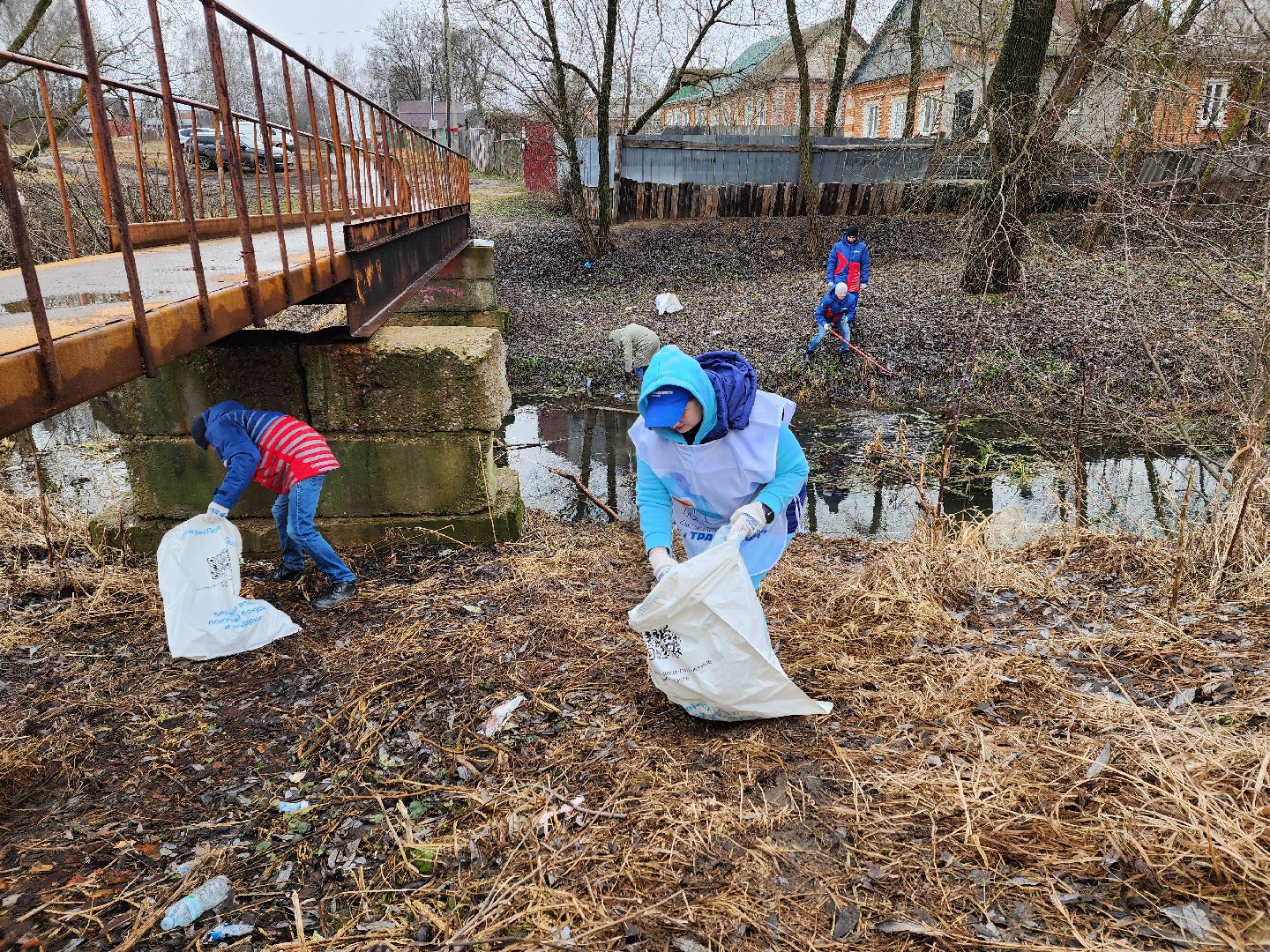 луховицы, субботник, вертикалки,