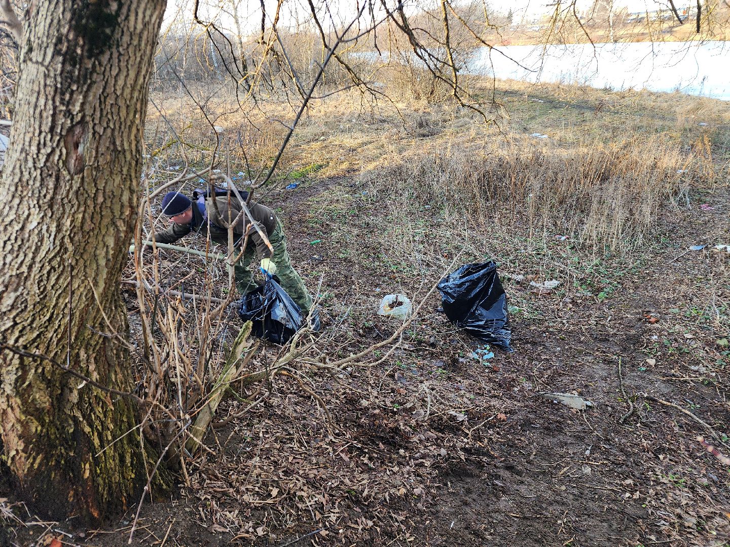 фрязино, субботник, уборка улиц, благоустройство, вертикалки,
