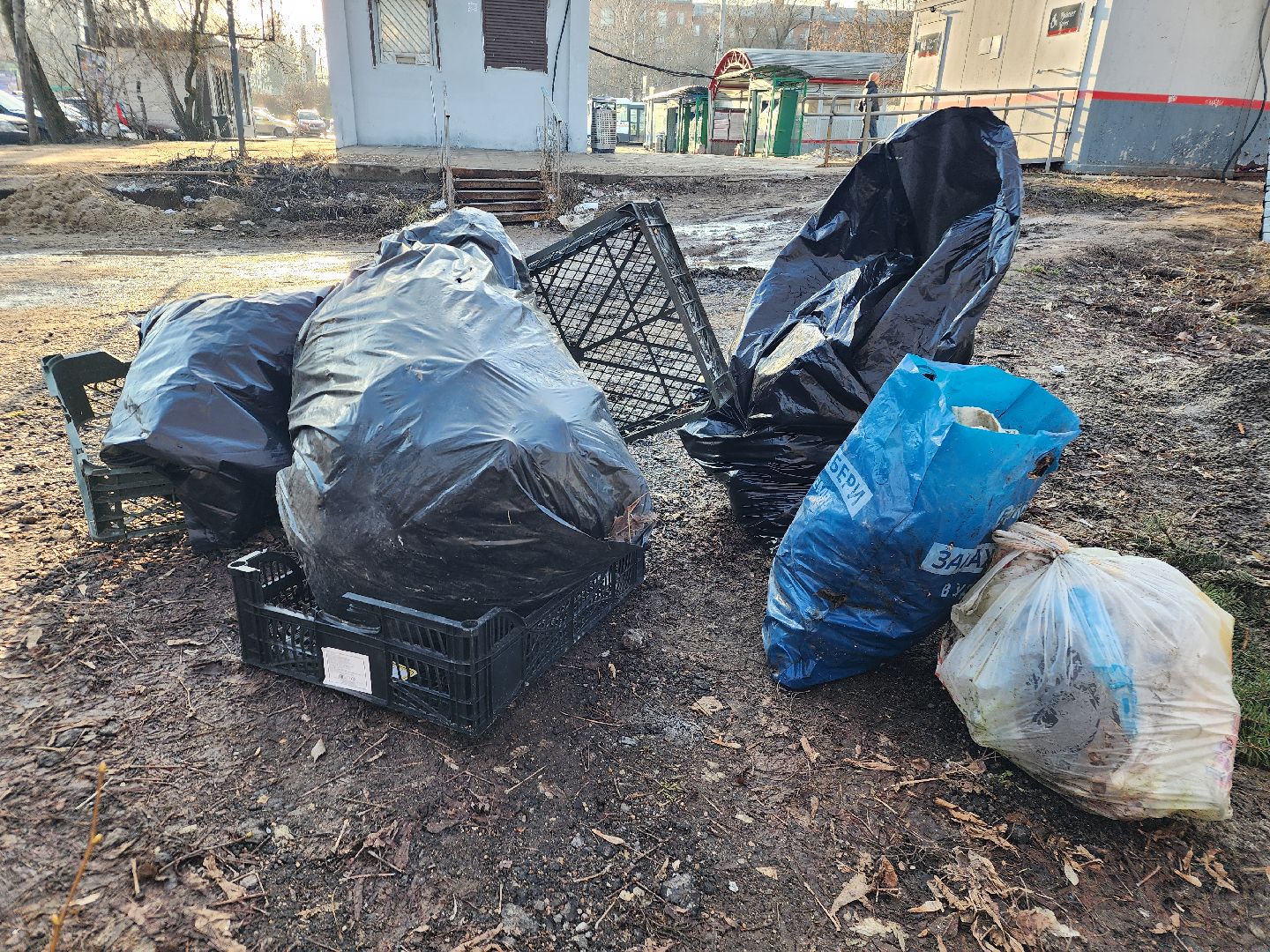 фрязино, субботник, уборка улиц, благоустройство, вертикалки,