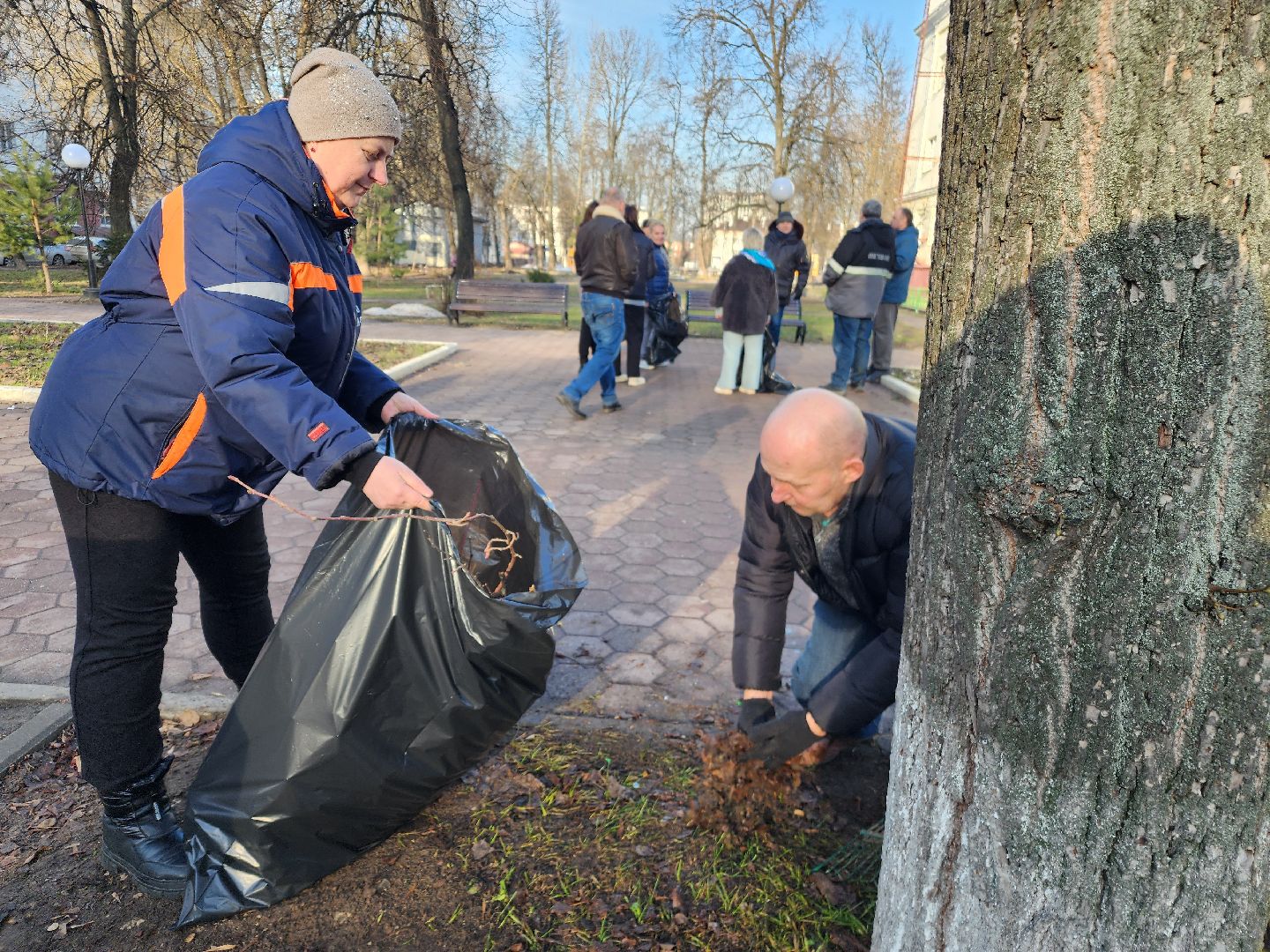 фрязино, субботник, уборка улиц, благоустройство, вертикалки,