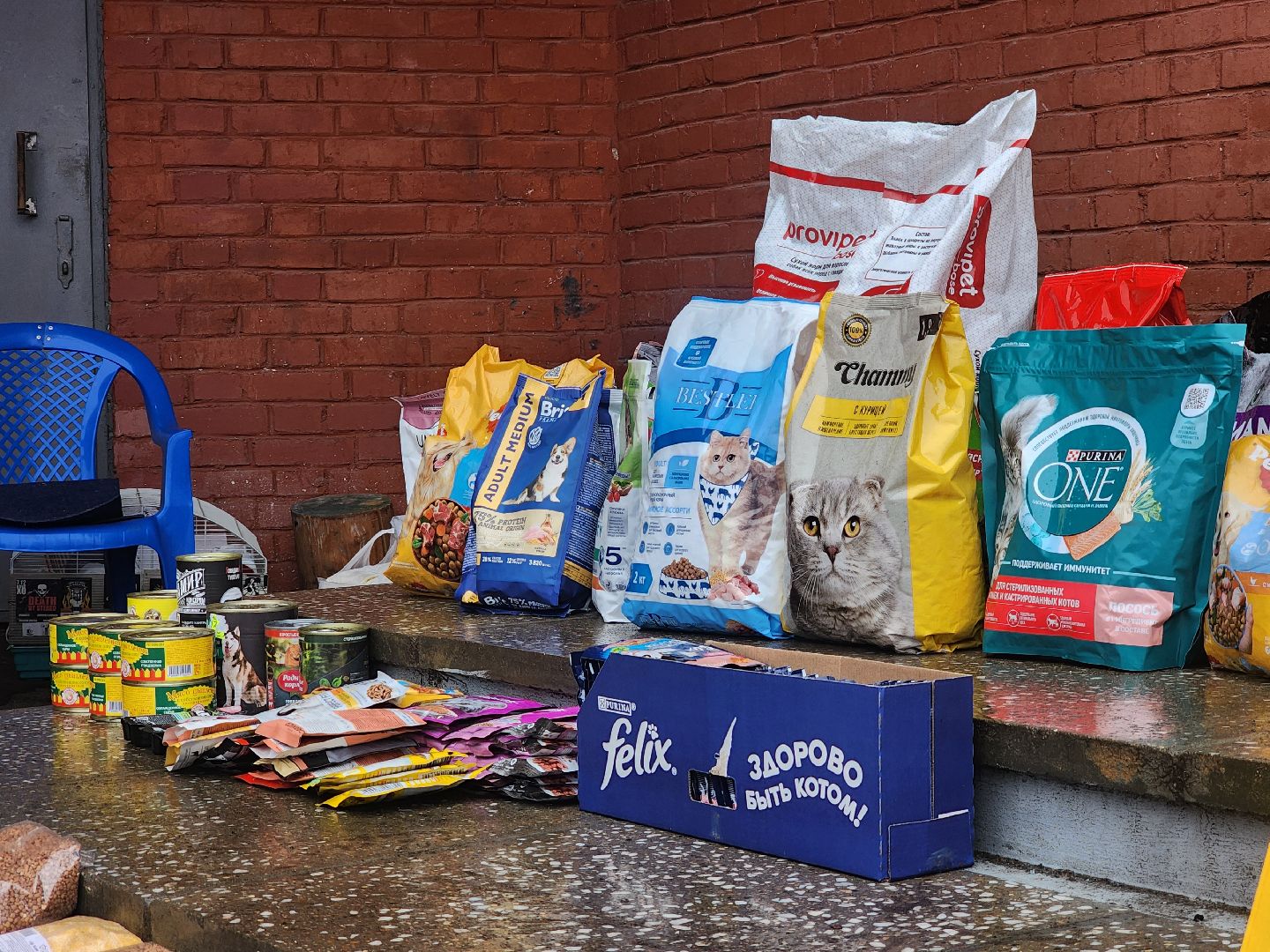 Коломна, экологическая акция, раздельный сбор отходов, сбор вторсырья,