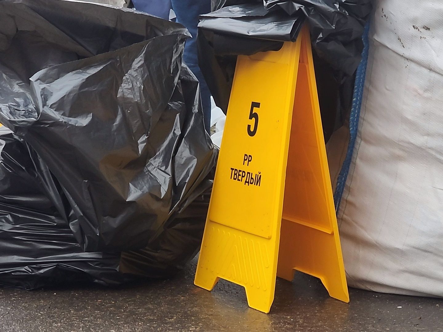 Коломна, экологическая акция, раздельный сбор отходов, сбор вторсырья,