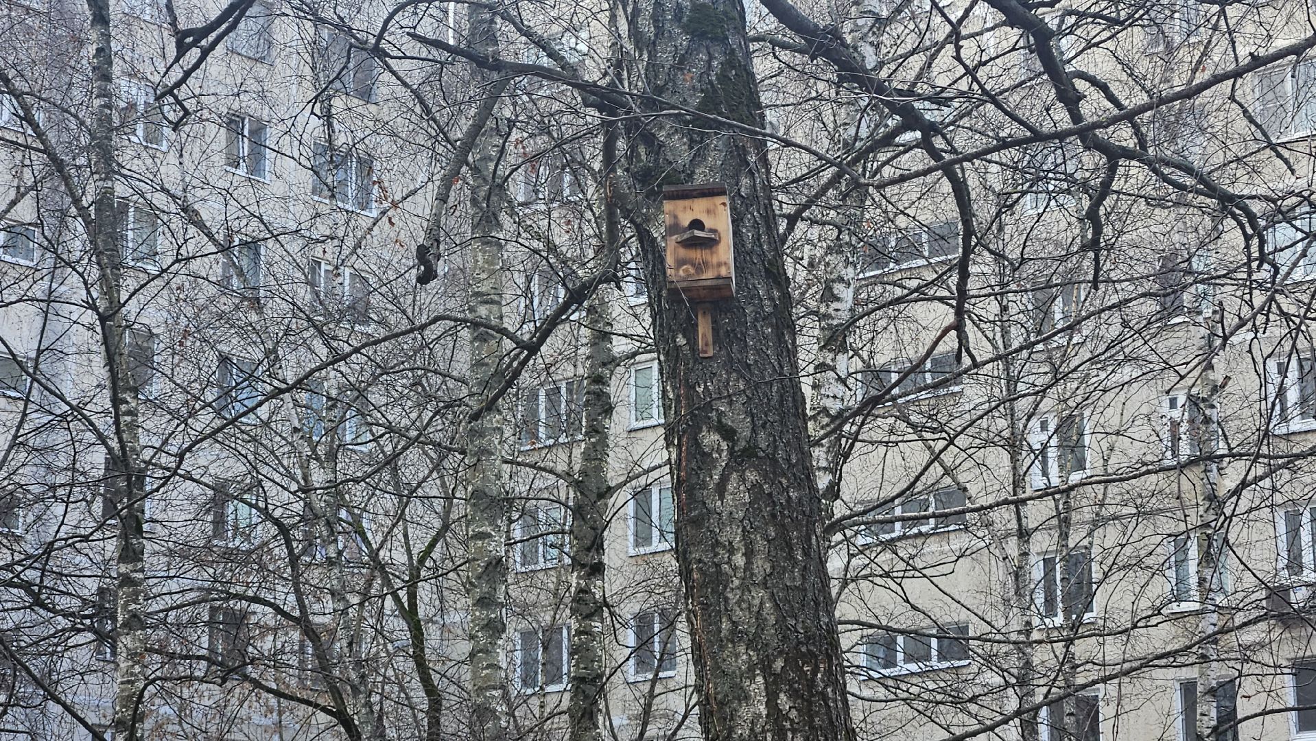 выездная администрация, жуковский, благоуствойство,