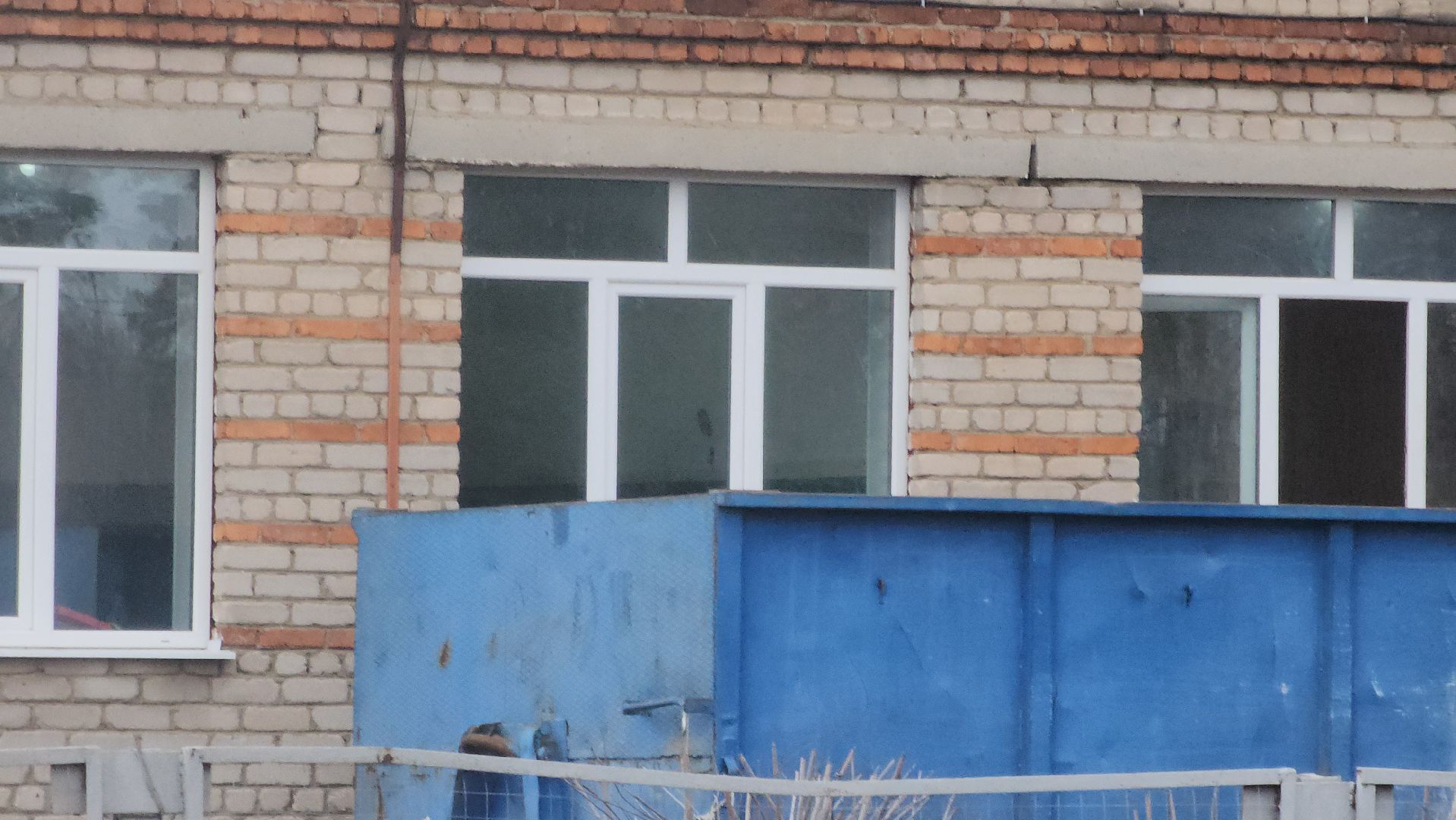 Электрогорск, образование, дети, ремонт,вертикалки,