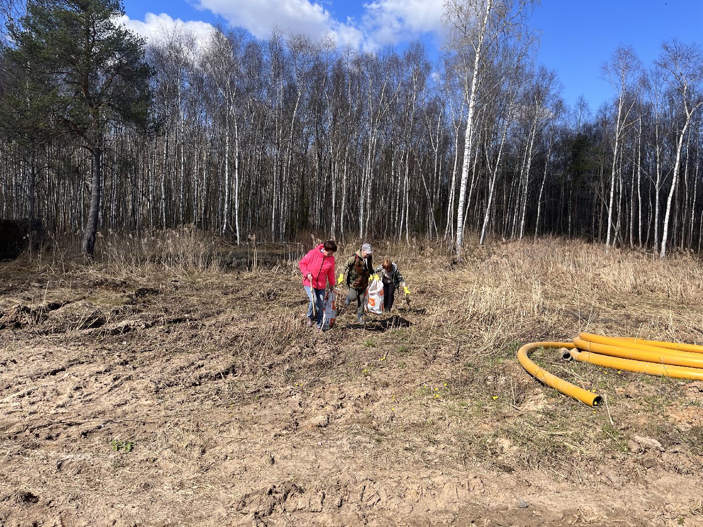 Шаховская, субботник, уборка