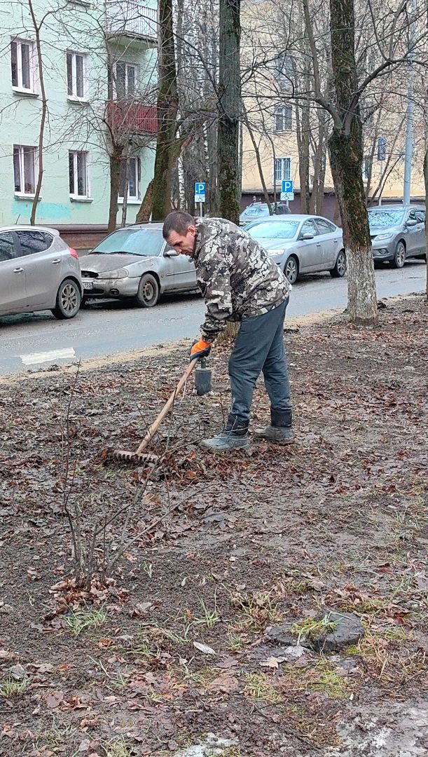 территория, уборка, дороги, листва, трактор, вертикалки,