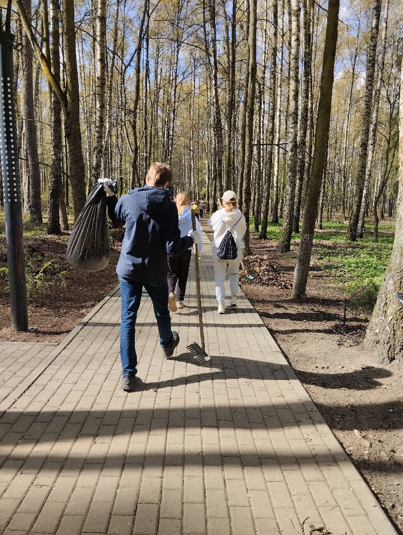 Благоустройство, всероссийский субботник, Богородский городской округ, Ногинск, уборка территорий, аллея Славы