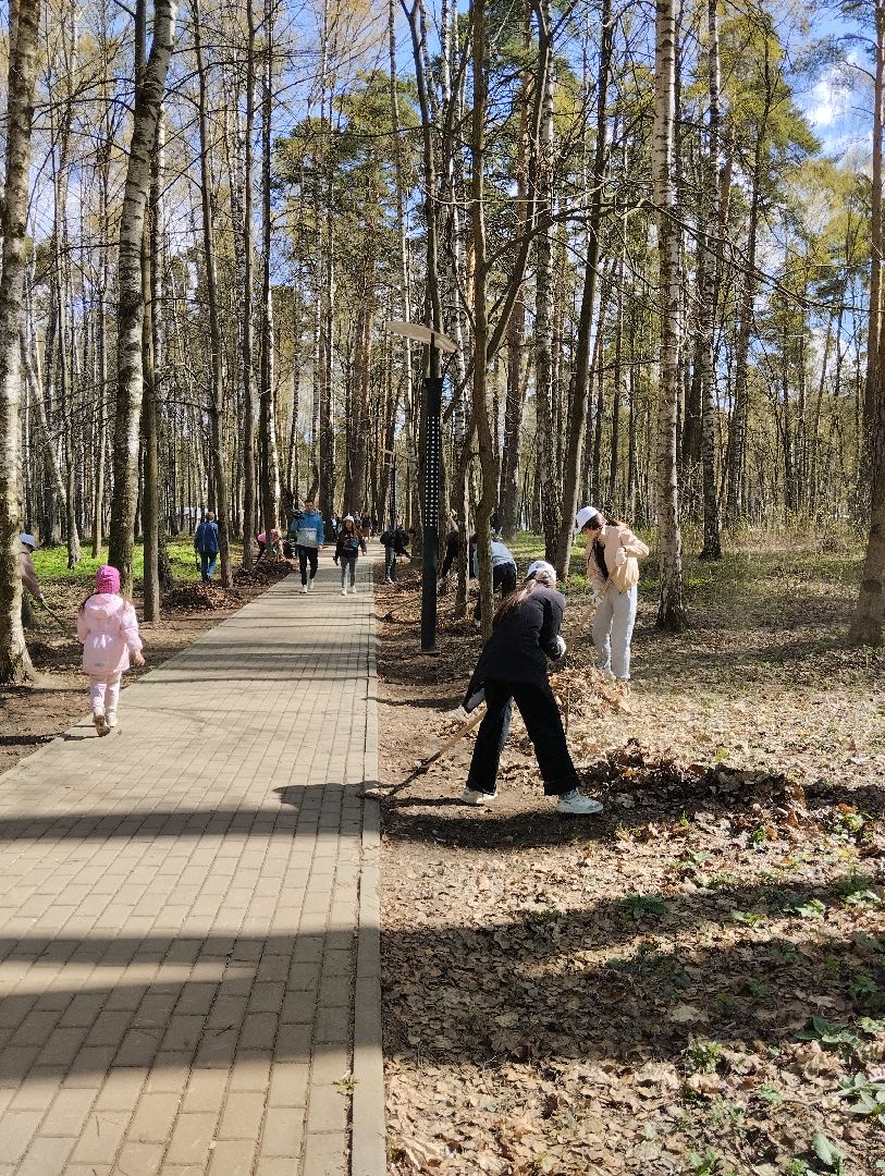Благоустройство, всероссийский субботник, Богородский городской округ, Ногинск, уборка территорий, аллея Славы