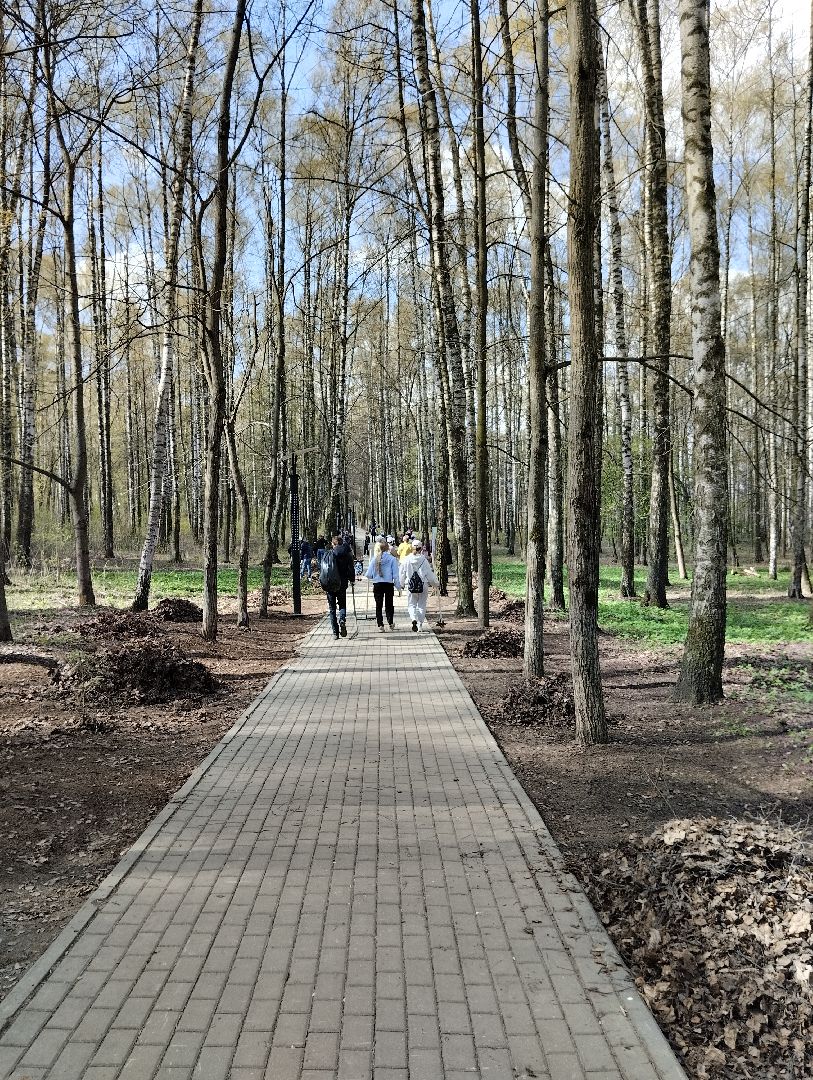 Благоустройство, всероссийский субботник, Богородский городской округ, Ногинск, уборка территорий, аллея Славы