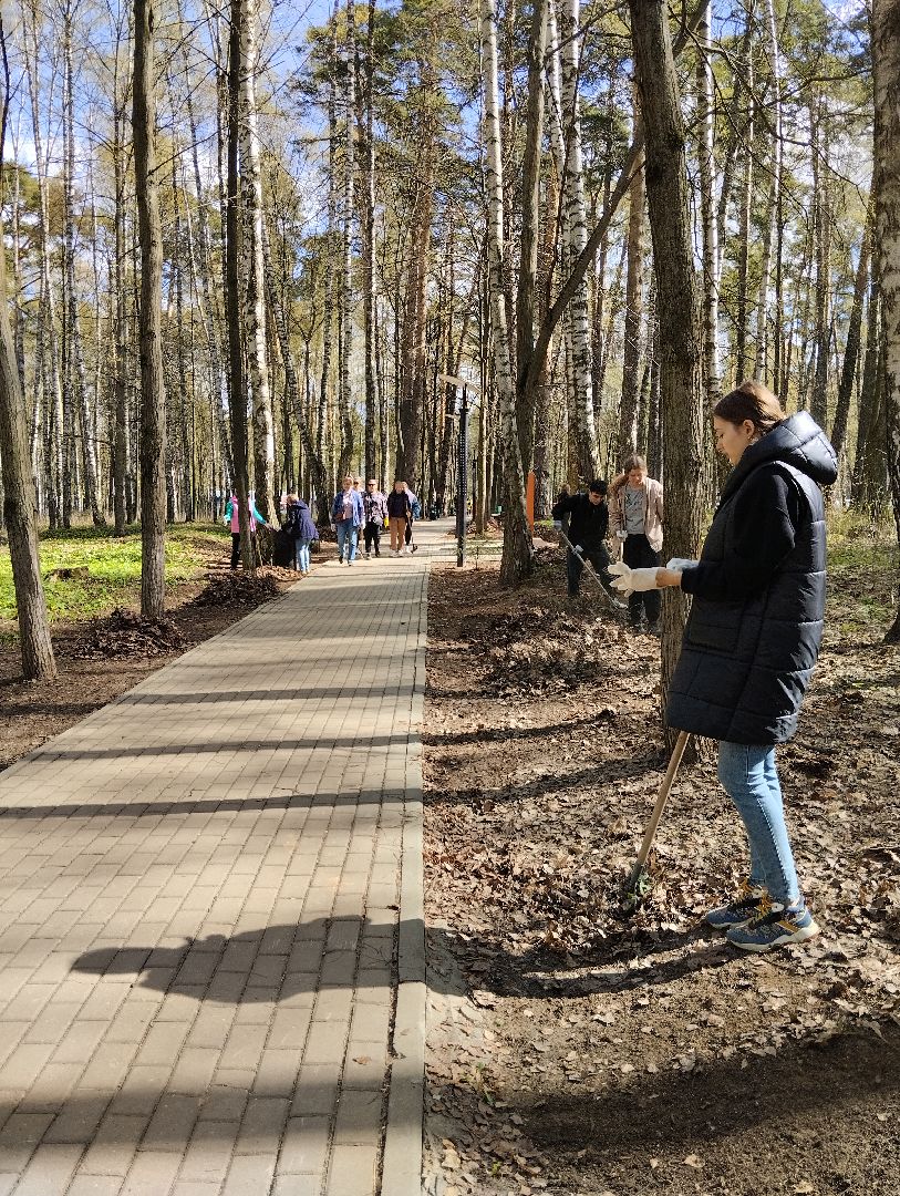 Благоустройство, всероссийский субботник, Богородский городской округ, Ногинск, уборка территорий, аллея Славы