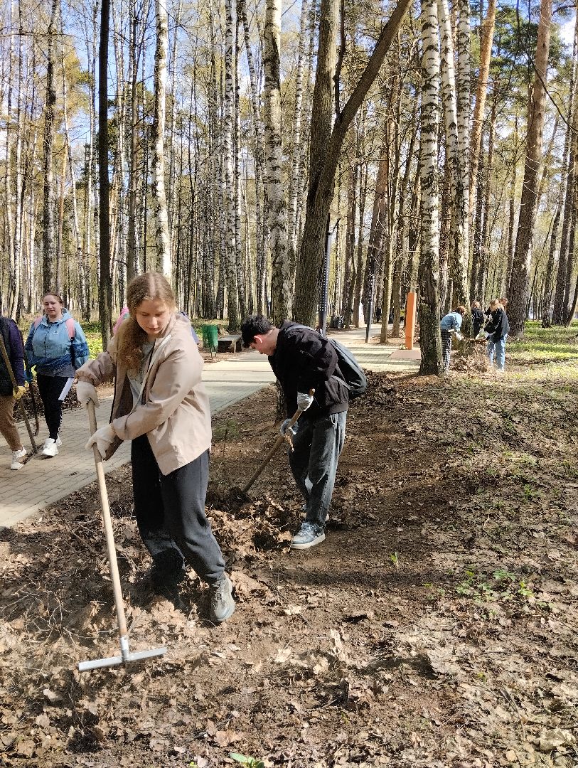 Благоустройство, всероссийский субботник, Богородский городской округ, Ногинск, уборка территорий, аллея Славы