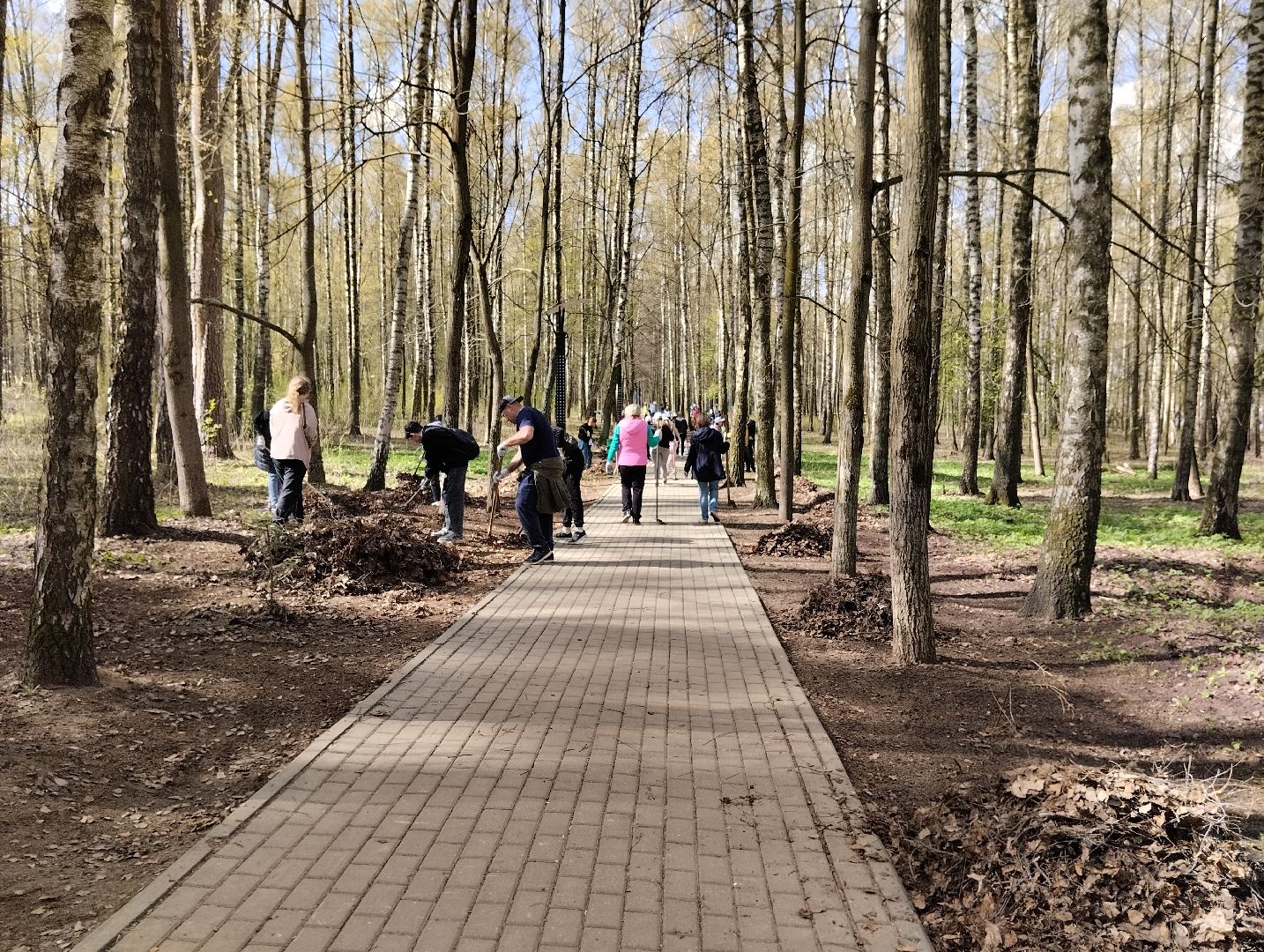 Благоустройство, всероссийский субботник, Богородский городской округ, Ногинск, уборка территорий, аллея Славы