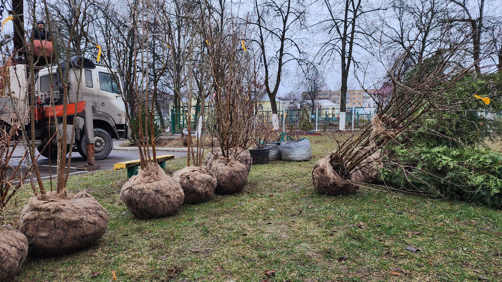 ступино, волонтеры, благотворительность, школы, благоустройство,