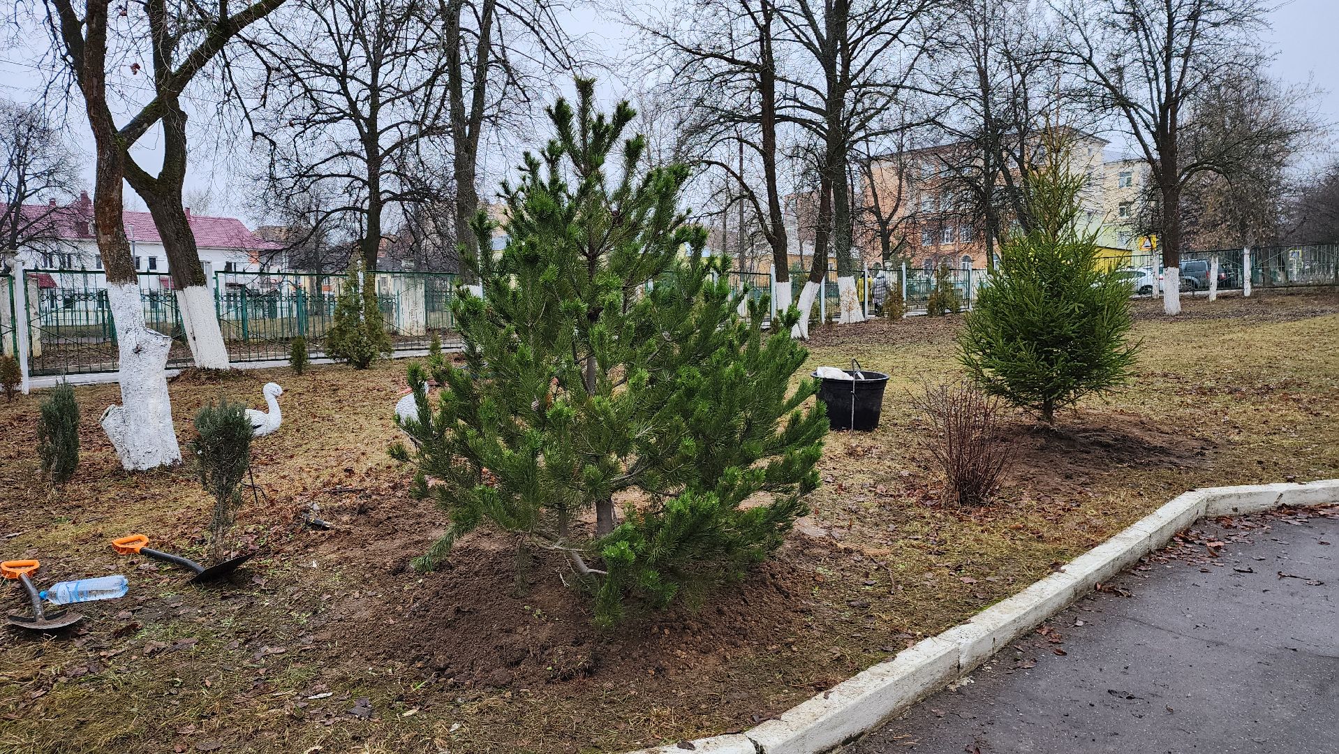 ступино, волонтеры, благотворительность, школы, благоустройство,