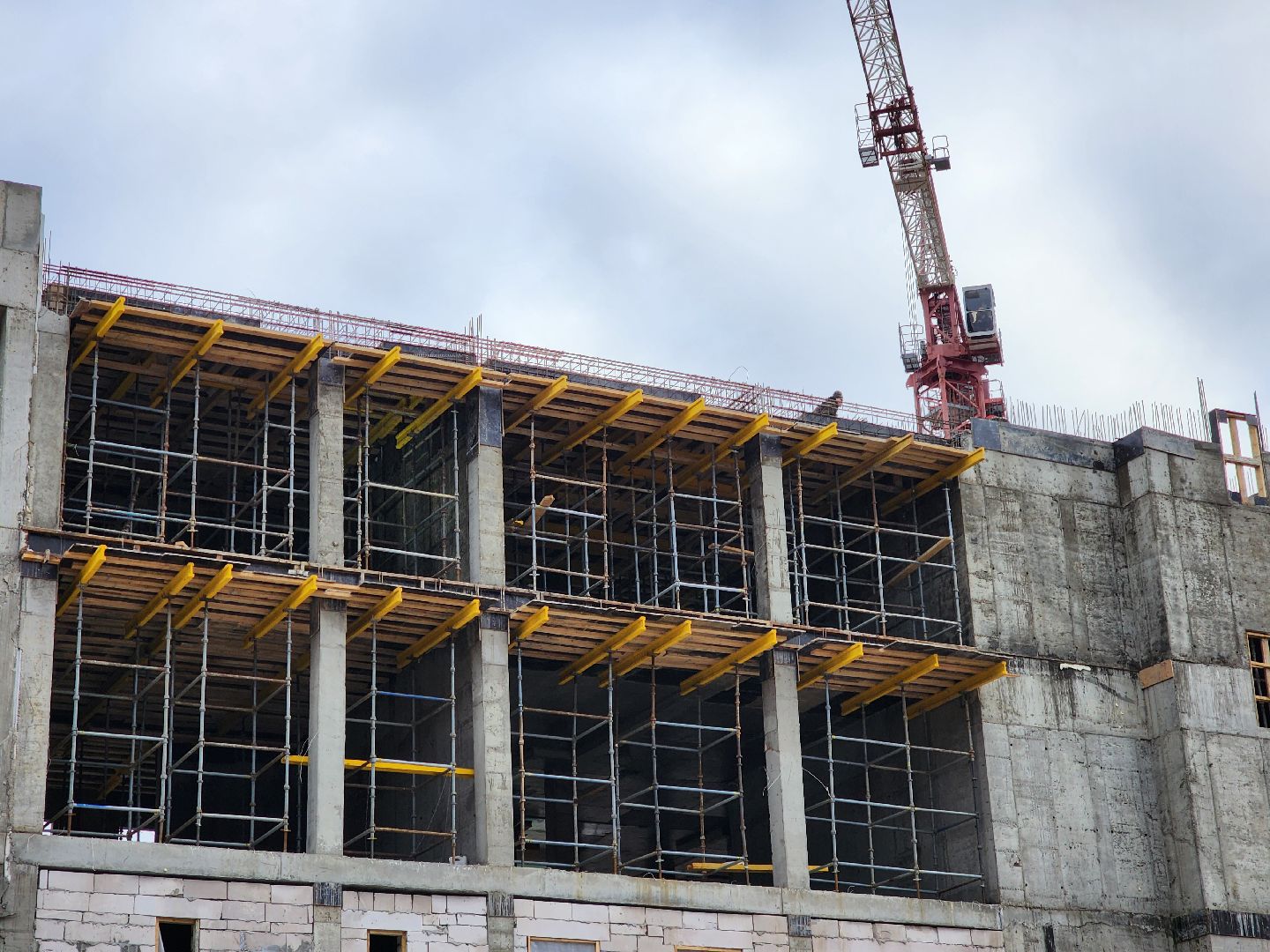 строительство, ногинск, центр образования, новая школа, благоустройство,