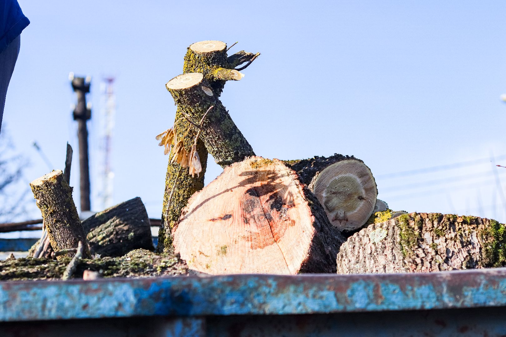 Клин, общество, ЖКХ, аварийные деревья, вертикалки,