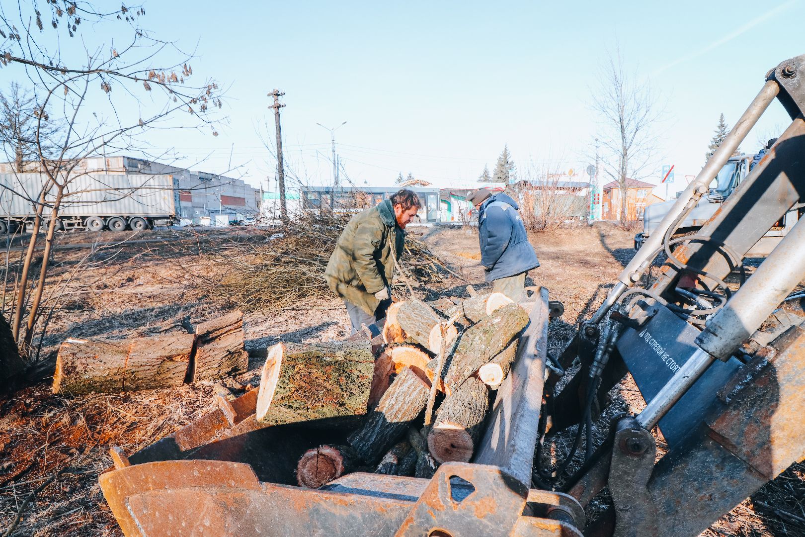 Клин, общество, ЖКХ, аварийные деревья, вертикалки,