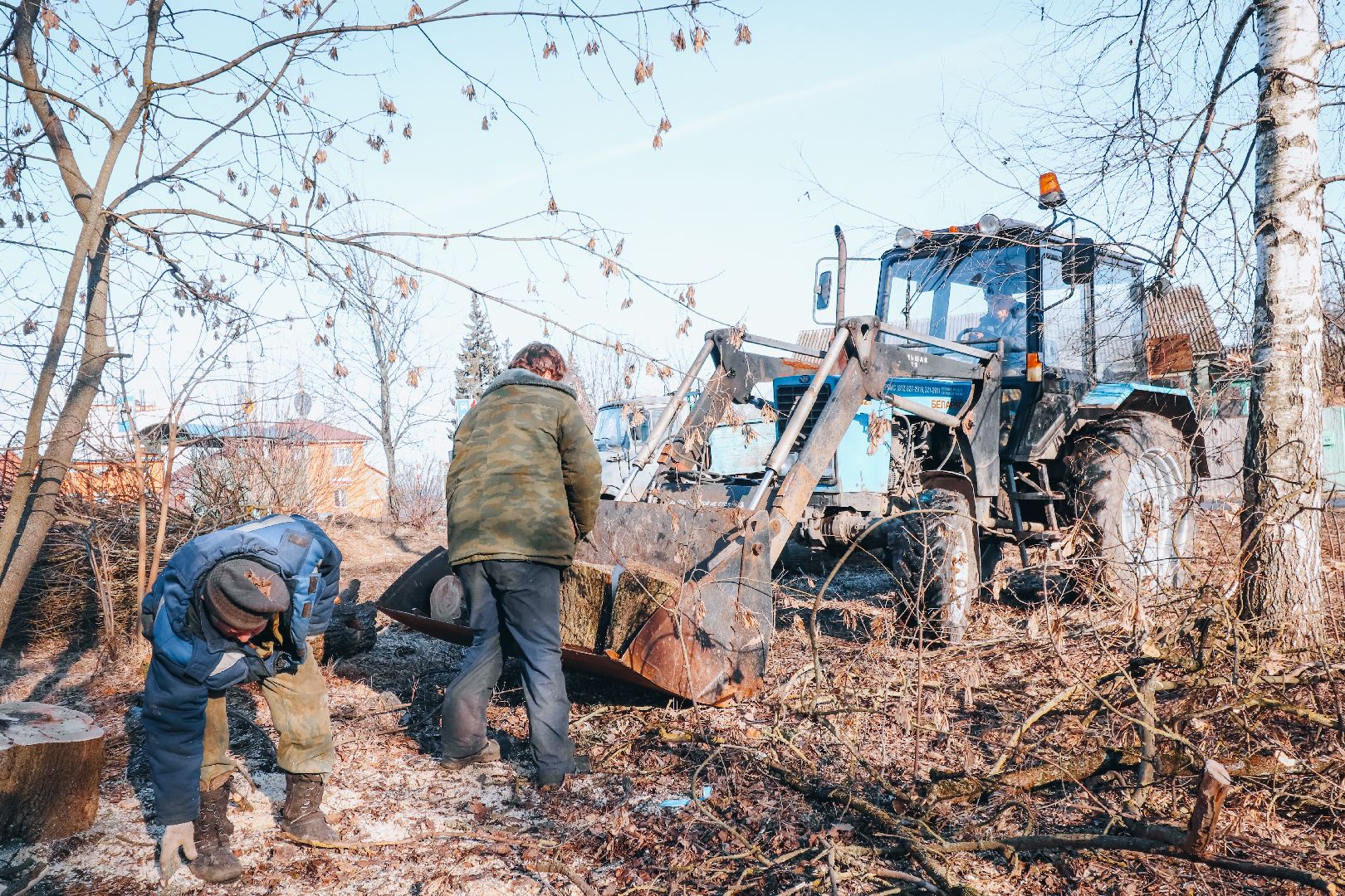 Клин, общество, ЖКХ, аварийные деревья, вертикалки,