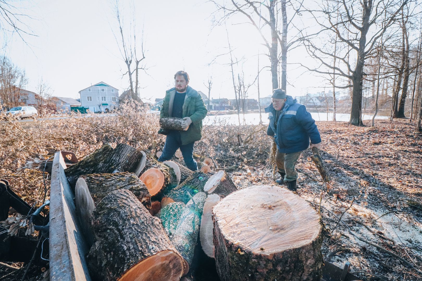 Клин, общество, ЖКХ, аварийные деревья, вертикалки,