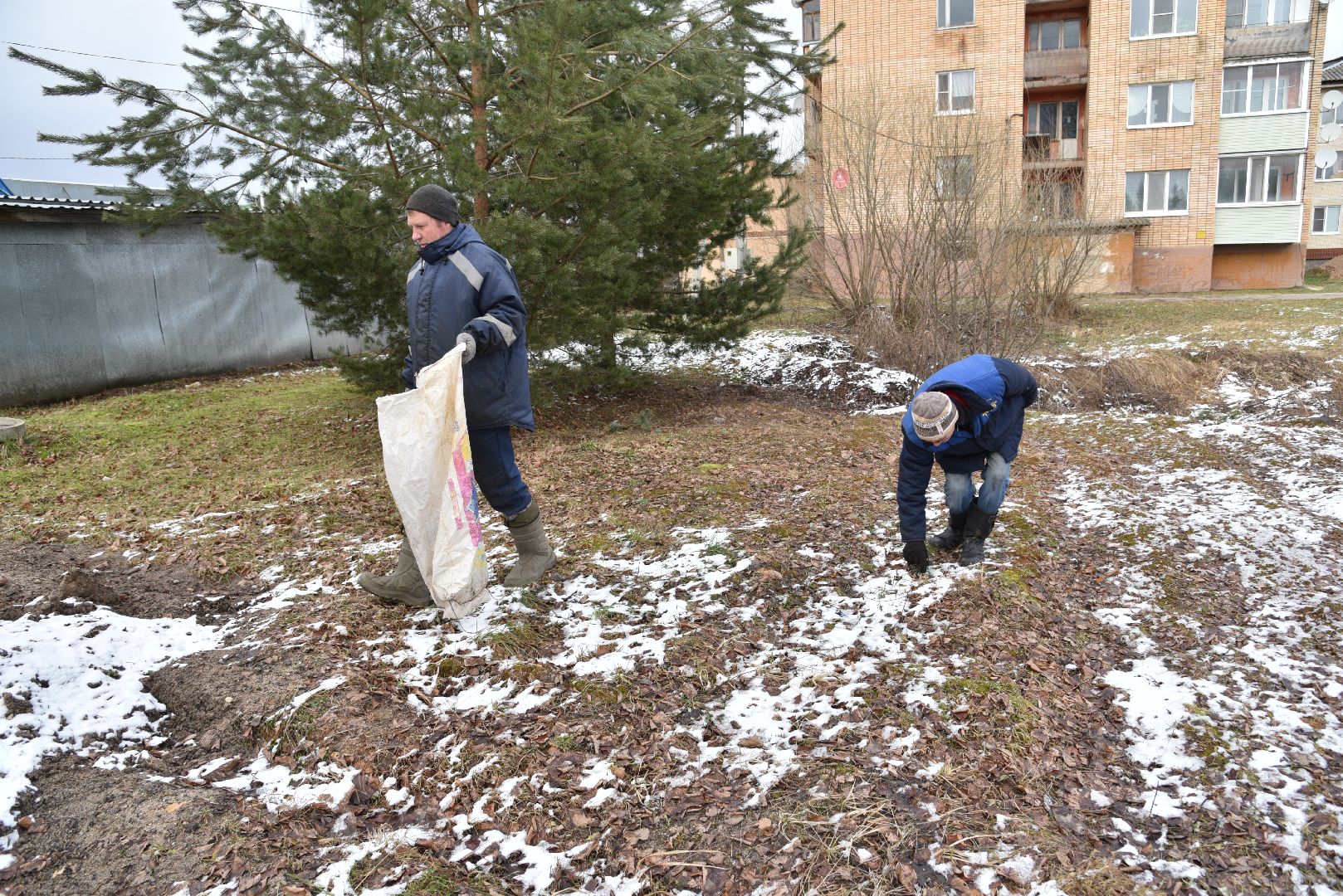 лотошино, микулино, выездная администрация, благоустройство, уборка мусора, вертикалка,