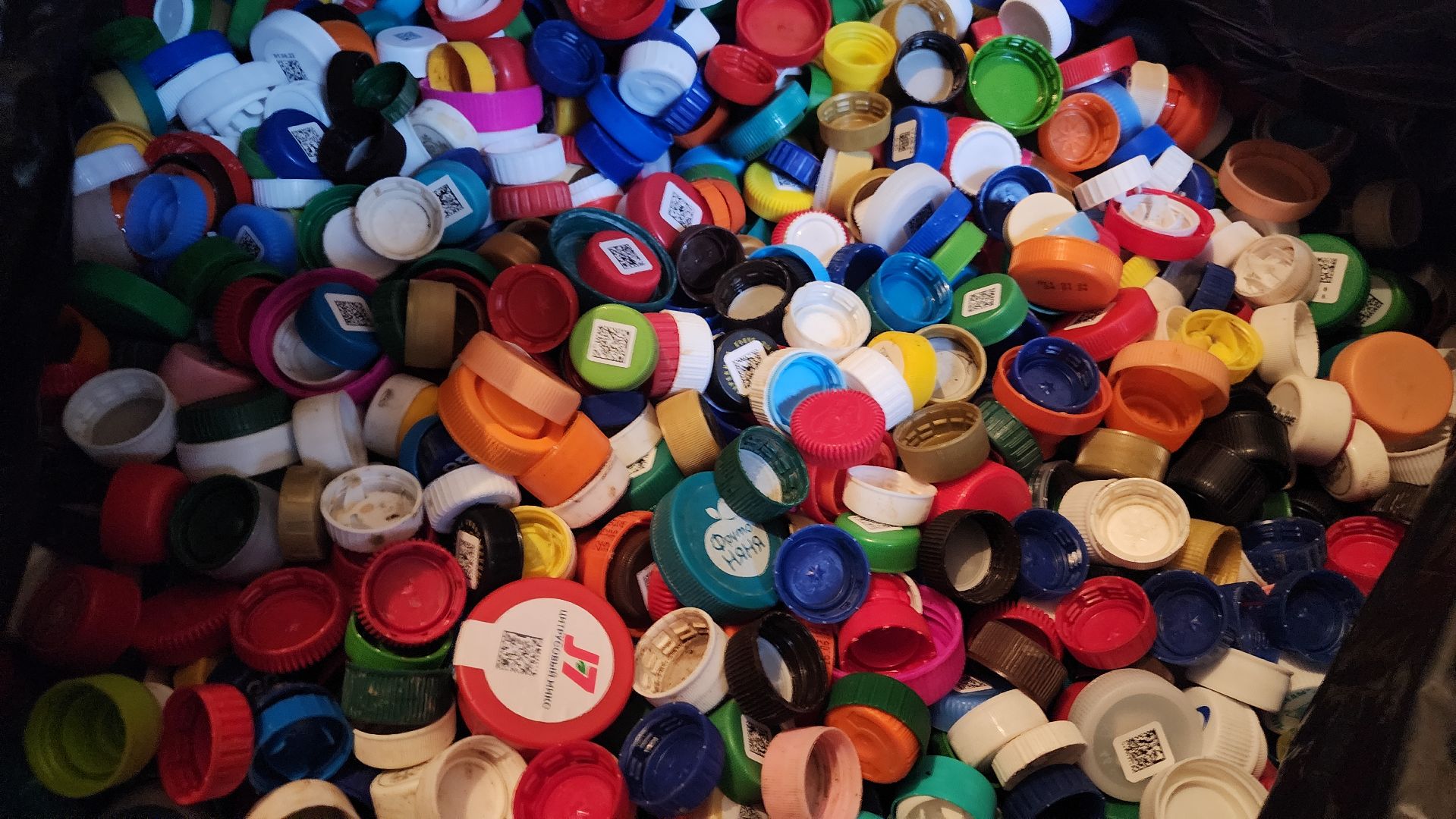 волонтеры волоколамска, волонтеры подмосковья, добрые крышечки, экология,