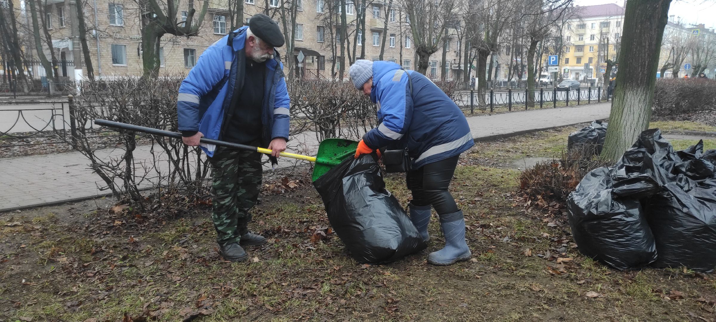 Электросталь, Электросталь благоустройство, Уборка газонов, вертикалки