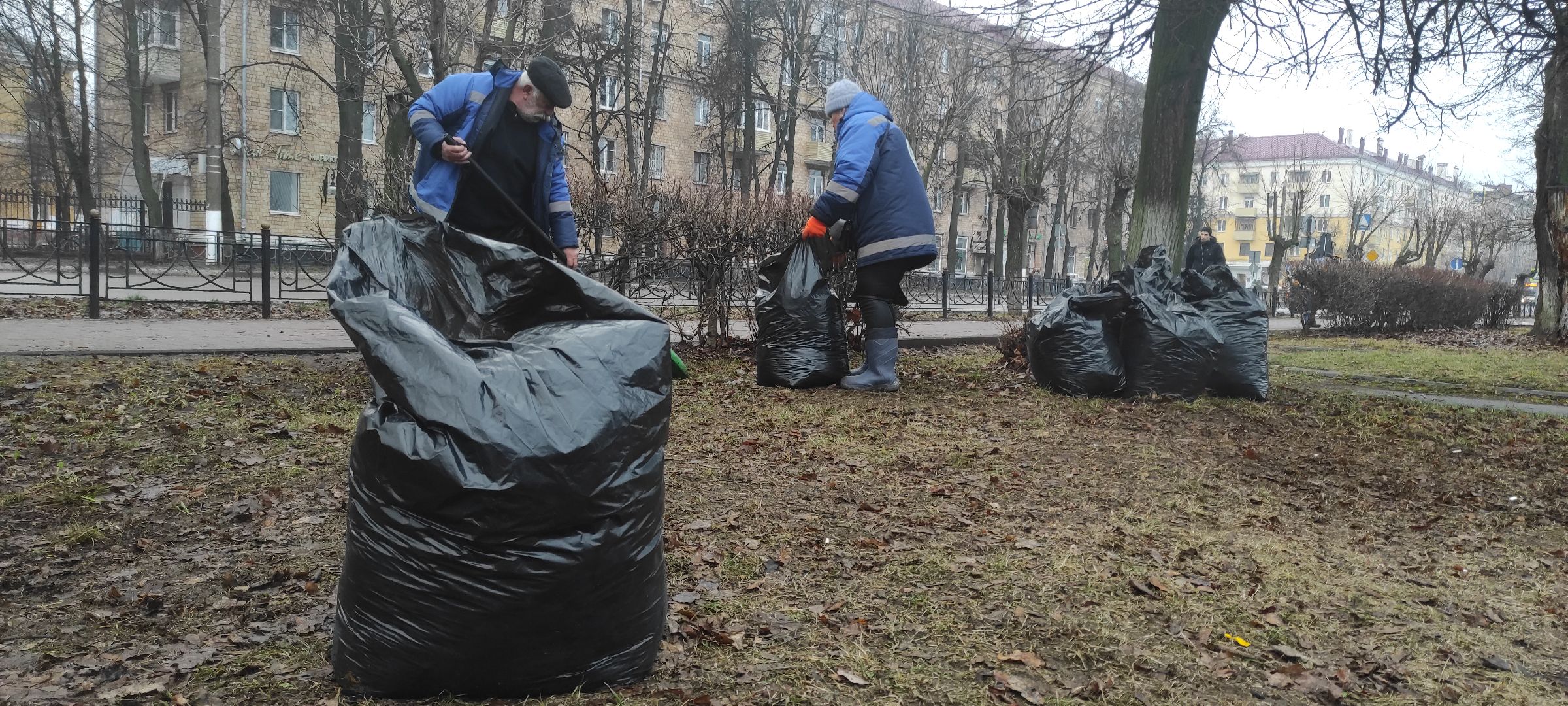Электросталь, Электросталь благоустройство, Уборка газонов, вертикалки