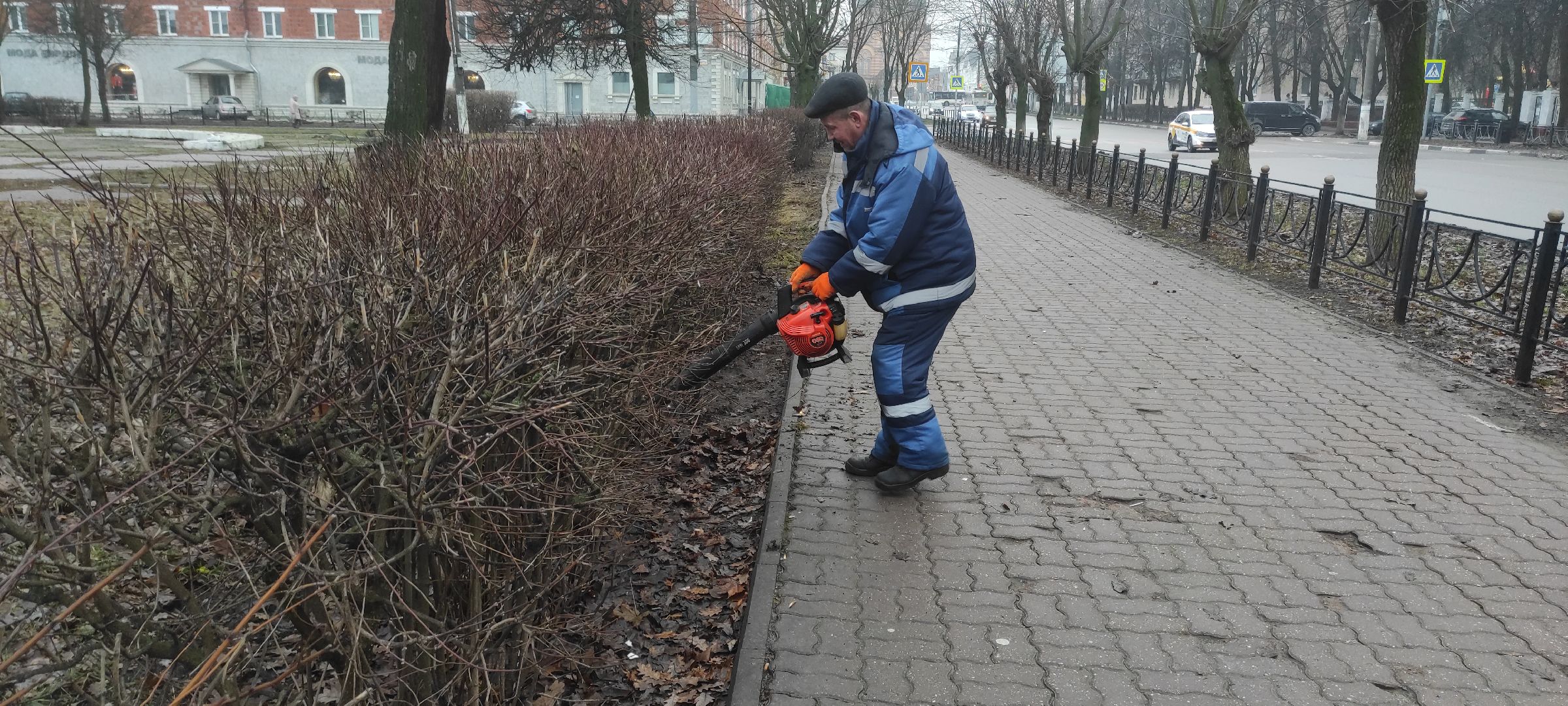 Электросталь, Электросталь благоустройство, Уборка газонов, вертикалки