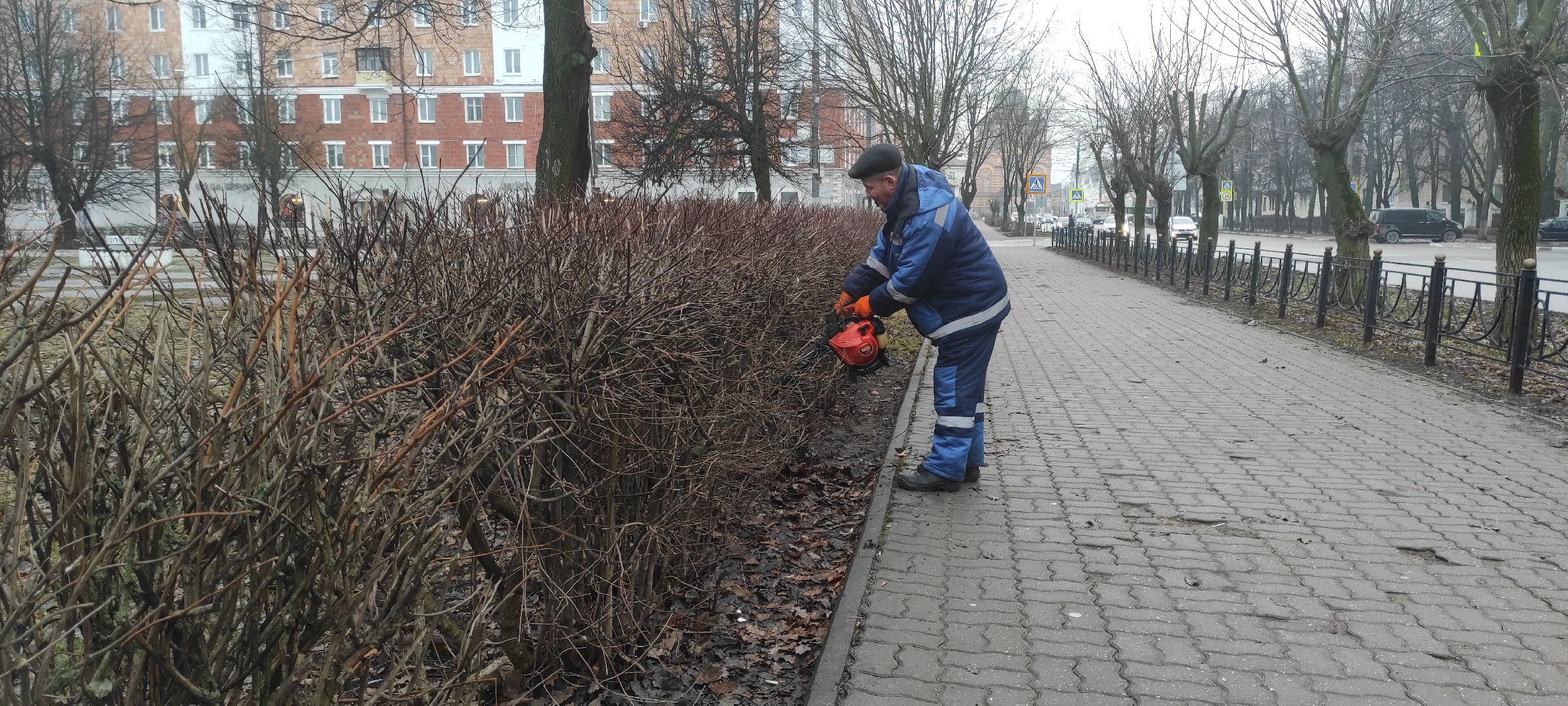 Электросталь, Электросталь благоустройство, Уборка газонов, вертикалки