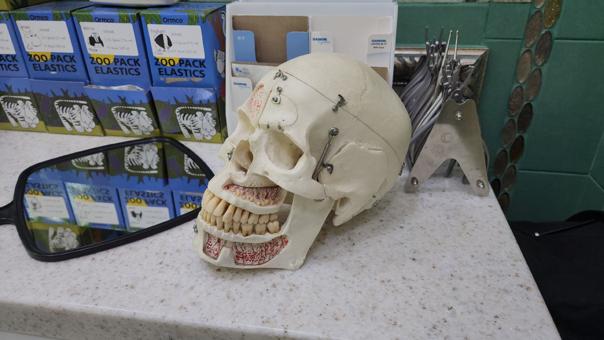 вертикакли, стоматология, медицина, красногорск,