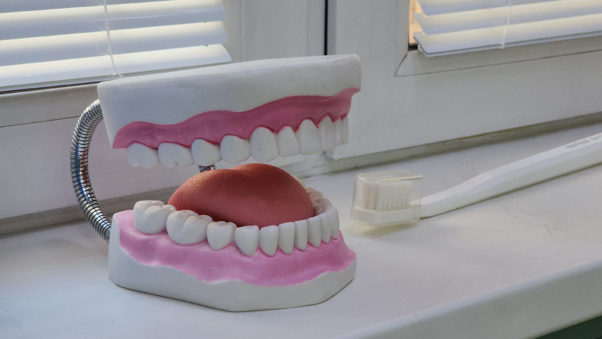 вертикакли, стоматология, медицина, красногорск,