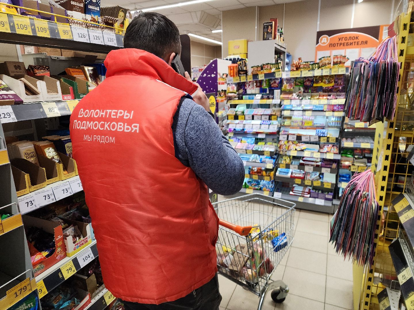 волонтеры, подольск, Адресная помощь,