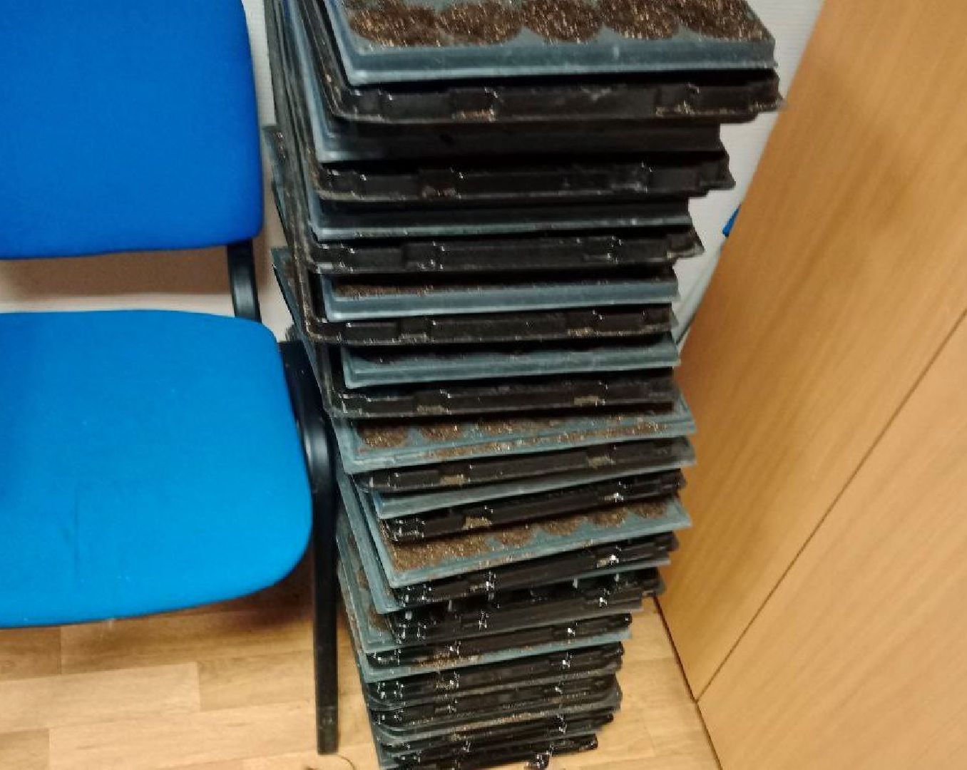 Город-сад, волонтёры, рассада, Бах, Шопен